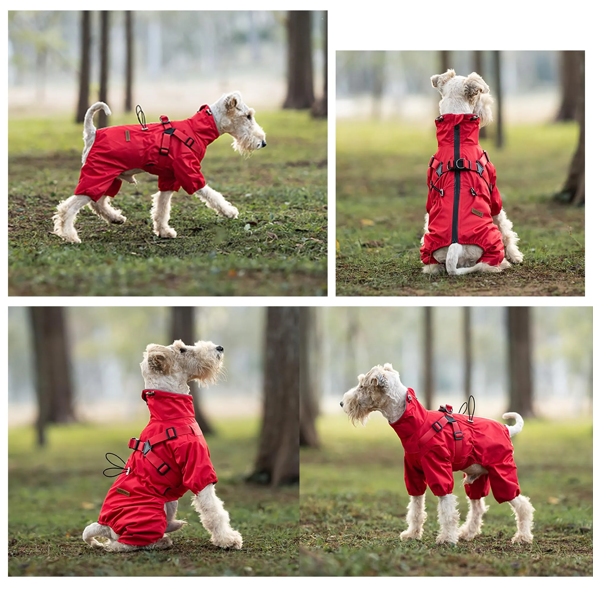 BT Bear Pettorina impermeabile per cani di piccola taglia, regolabile a 4 gambe, con imbracatura riflettente, impermeabile, per cuccioli di piccola taglia, rosso, M - immagine 7