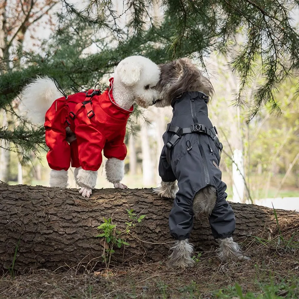 BT Bear Pettorina impermeabile per cani di piccola taglia, regolabile a 4 gambe, con imbracatura riflettente, impermeabile, per cuccioli di piccola taglia, rosso, M - immagine 8