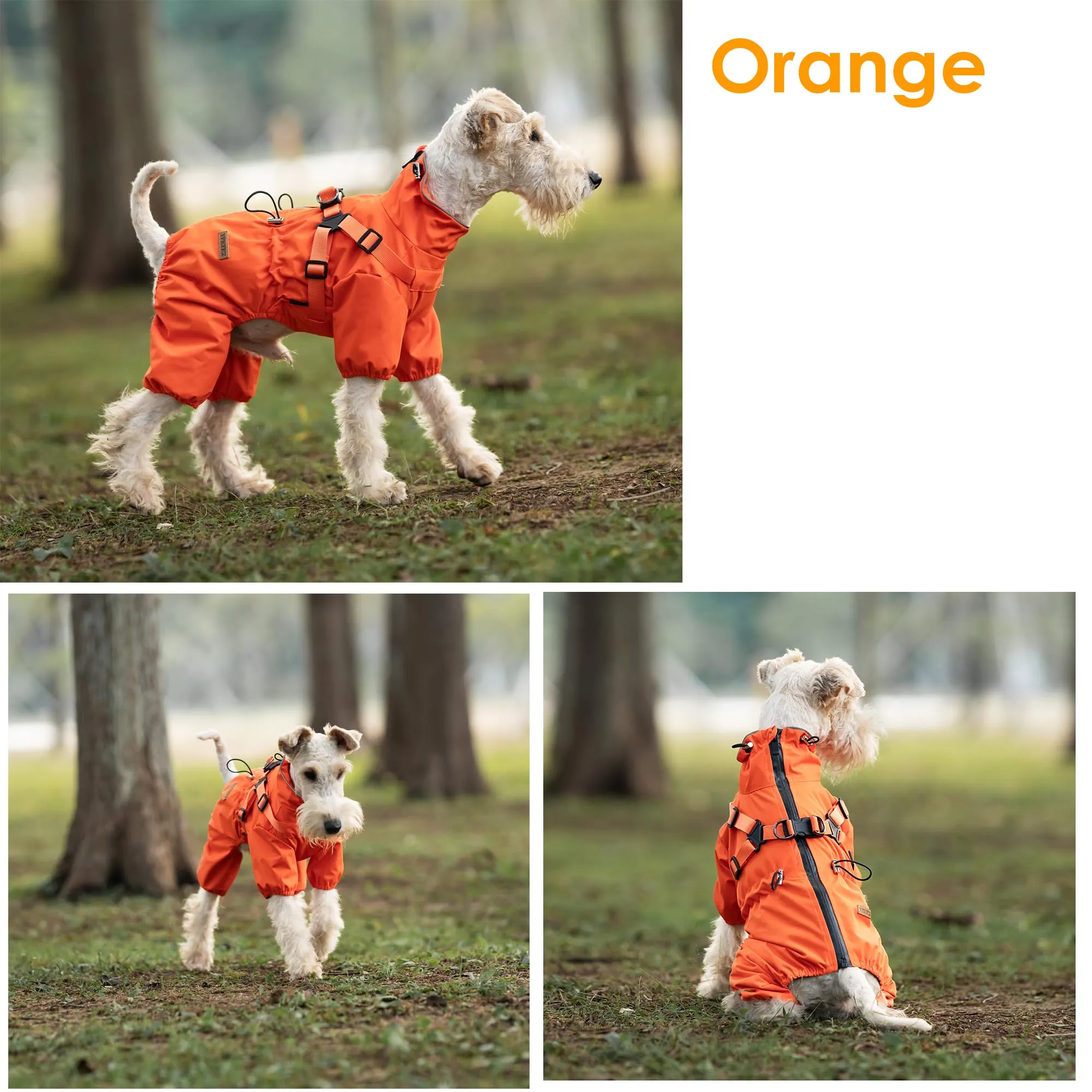 BT Bear Pettorina impermeabile per cani, regolabile a 4 gambe, con imbracatura riflettente, impermeabile, per cani di taglia media e grande, arancione, 3XL - immagine 8