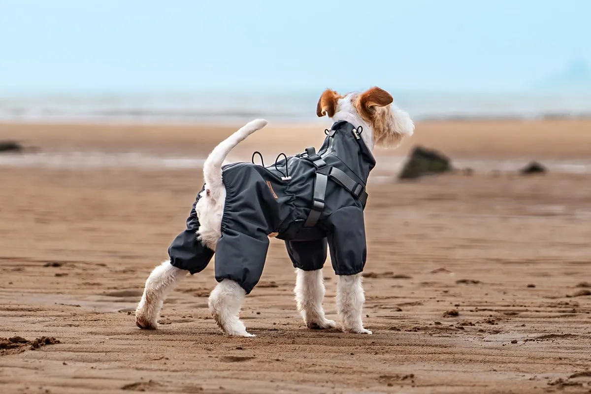 BT Bear - Cappotto impermeabile per cani con imbracatura, regolabile, con 4 gambe, con giubbotto riflettente, impermeabile, per cani di taglia piccola e media, grigio XL - immagine 6