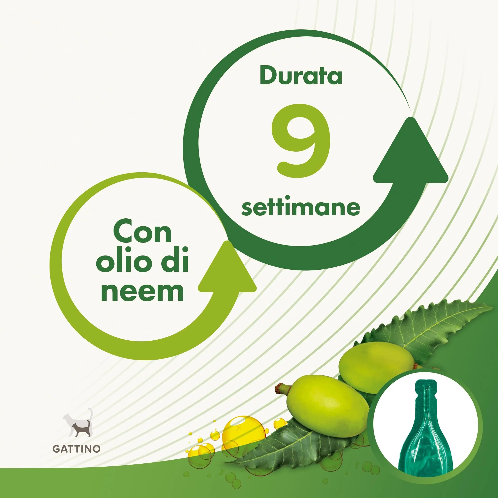 Beaphar Protezione Naturale, Spot-On Scudo per Gattino, con Olio di Neem e Piretro Vegetale, 9 Settimane di Protezione, 3 Pipette da 2 ml - immagine 4