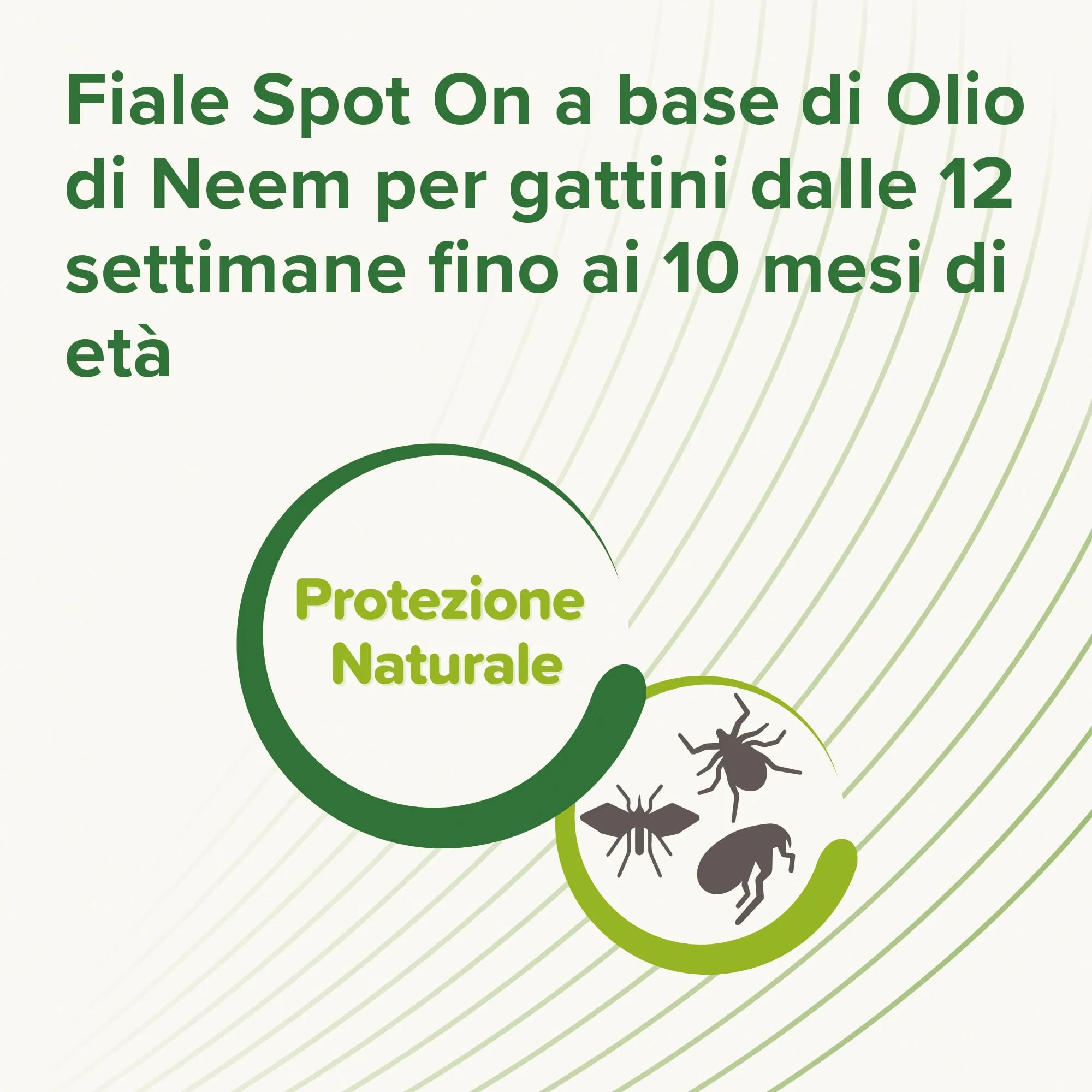 Beaphar Protezione Naturale, Spot-On Scudo per Gattino, con Olio di Neem e Piretro Vegetale, 9 Settimane di Protezione, 3 Pipette da 2 ml - immagine 6