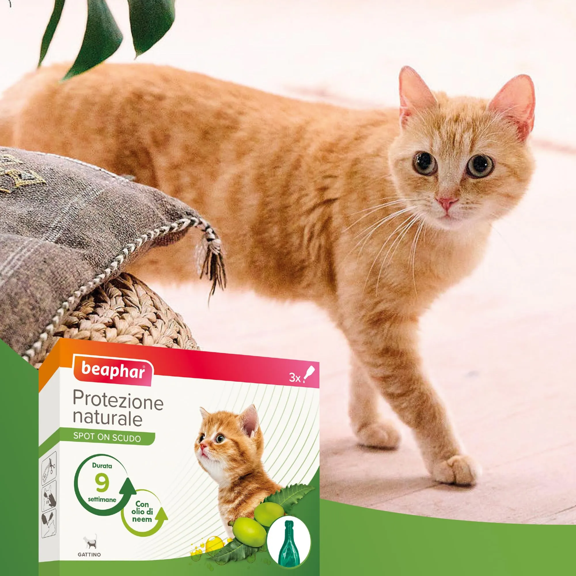 Beaphar Protezione Naturale, Spot-On Scudo per Gattino, con Olio di Neem e Piretro Vegetale, 9 Settimane di Protezione, 3 Pipette da 2 ml - immagine 7