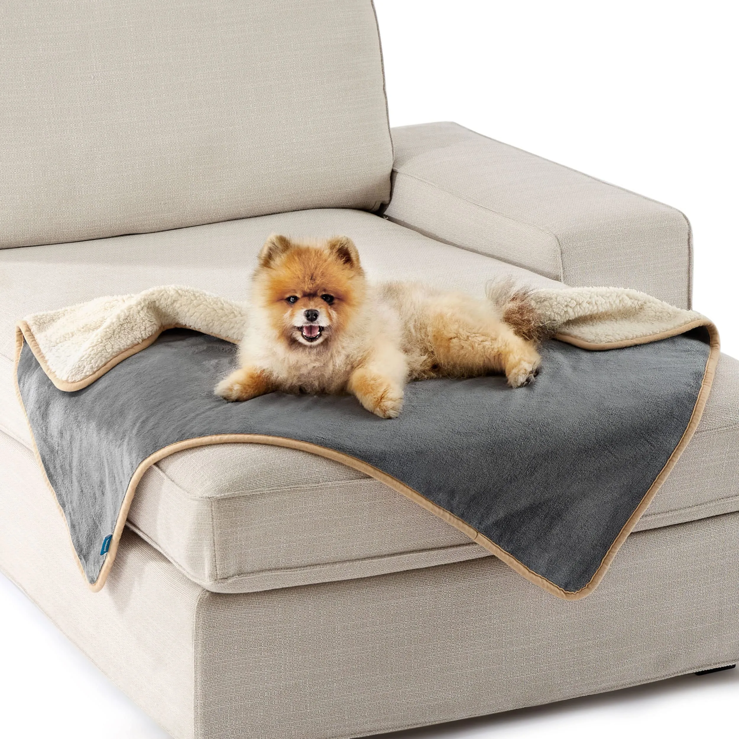 LE SURE Coperta Impermeabile per Cane Lavabile, 80x60 cm Grigio - immagine 1