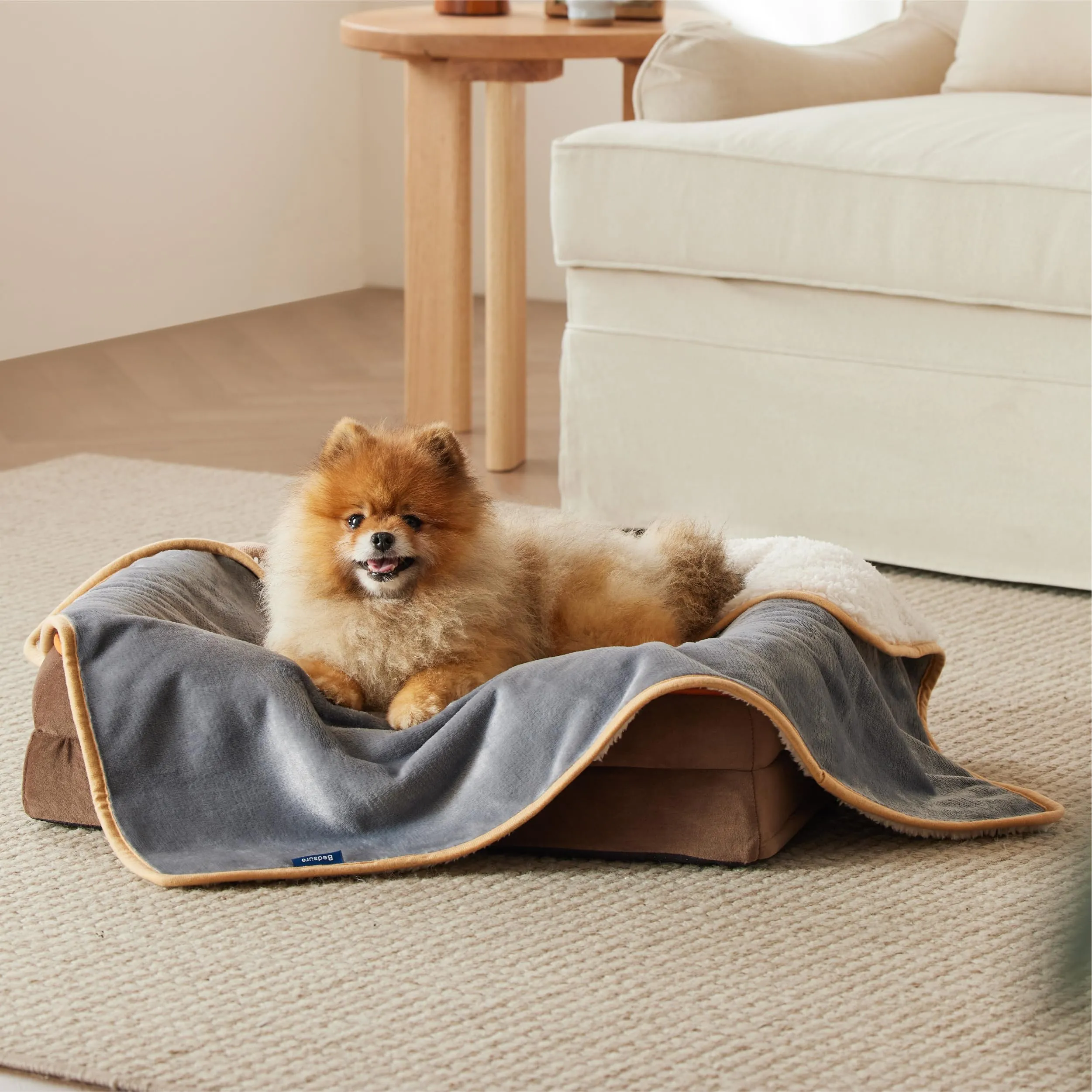 LE SURE Coperta Impermeabile per Cane Lavabile, 80x60 cm Grigio - immagine 7