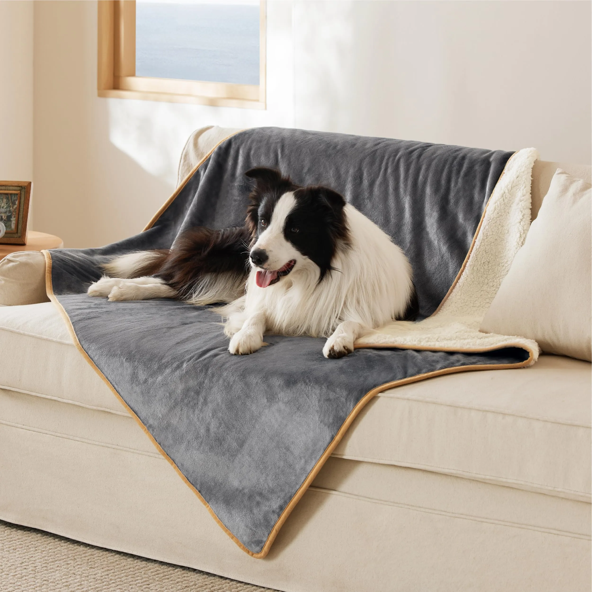 LE SURE Coperta Impermeabile per Cane Lavabile, 152x127 cm Grigio - immagine 4