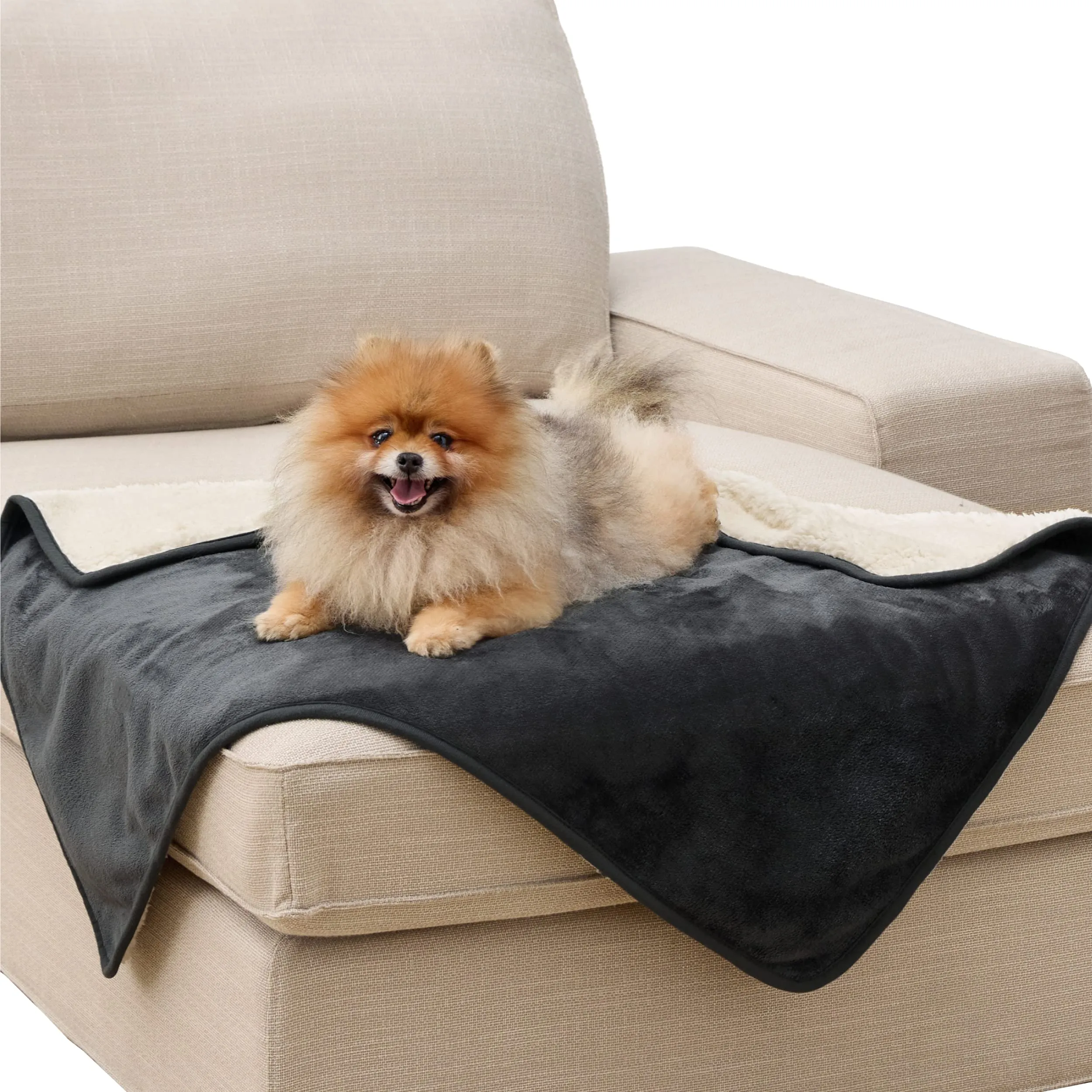 LE SURE Coperta Impermeabile per Cane Lavabile, 100x80 cm Nero - immagine 1