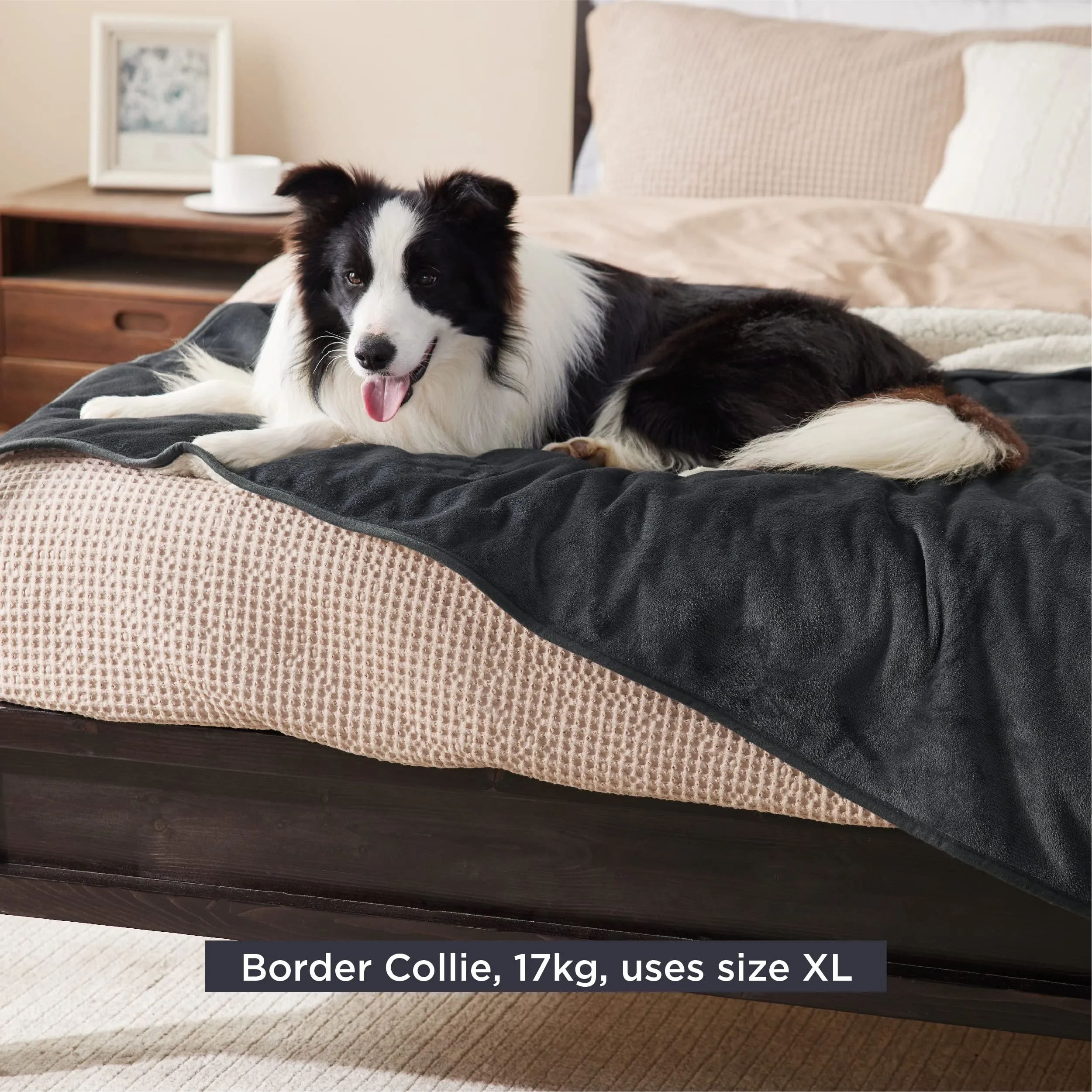 LE SURE Coperta Impermeabile per Cane Lavabile, 152x127 cm Nero - immagine 7