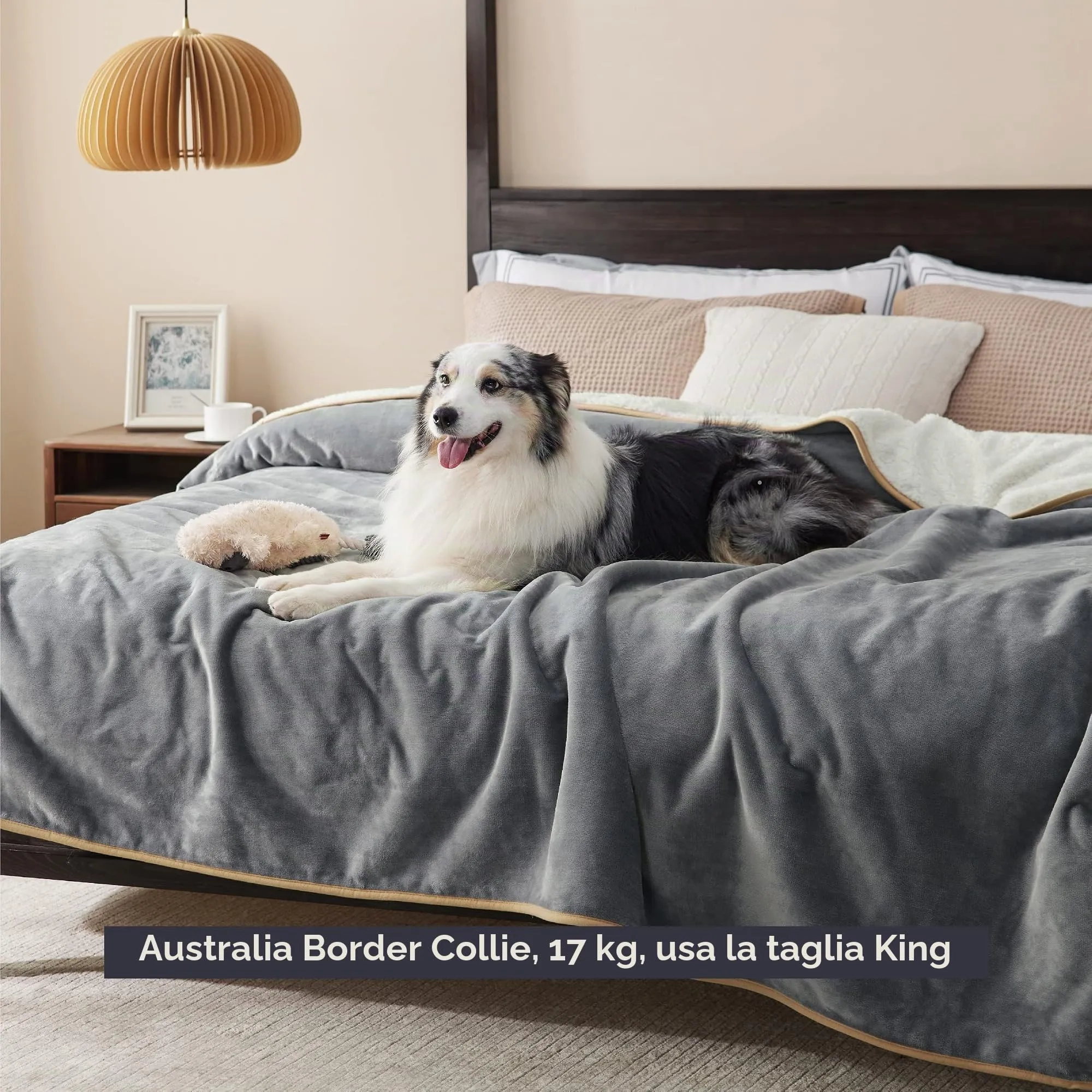 LE SURE Coperta Impermeabile per Cane Lavabile, 274x218 cm Grigio - immagine 6