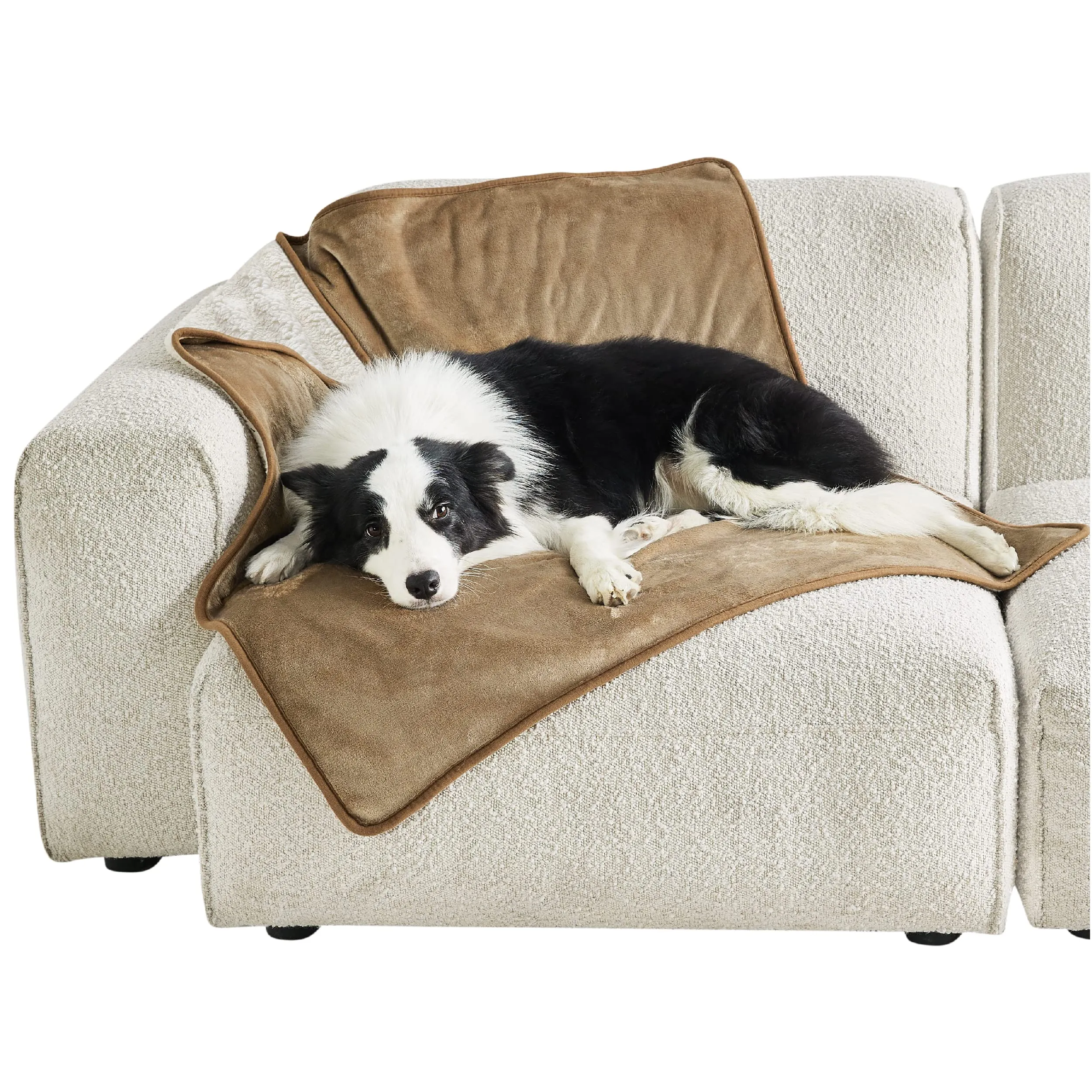 LE SURE Coperta Impermeabile per Cane Lavabile, 120x100 cm Cammello - immagine 1