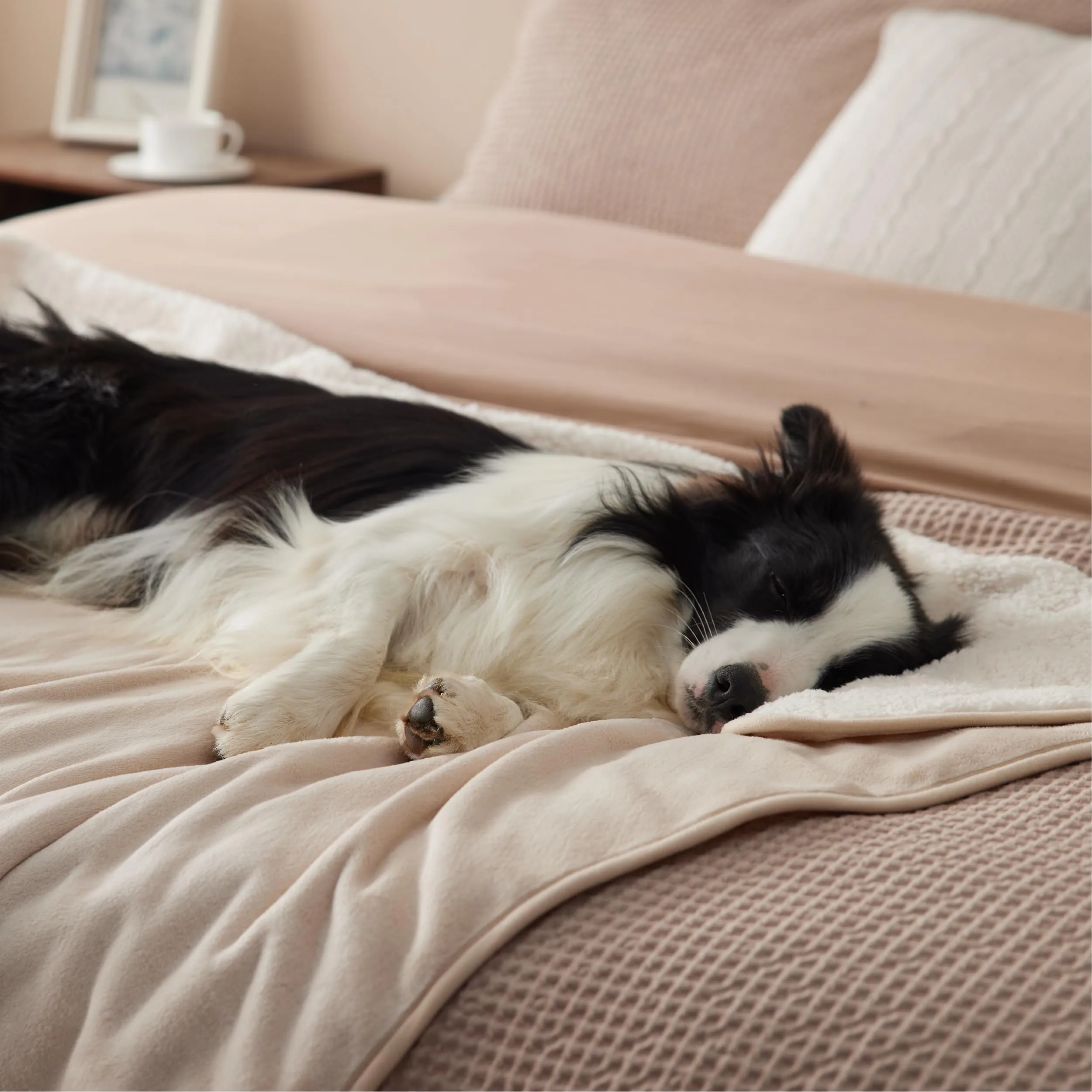 LE SURE Coperta Impermeabile per Cane Lavabile, 120x100 cm Crema - immagine 6