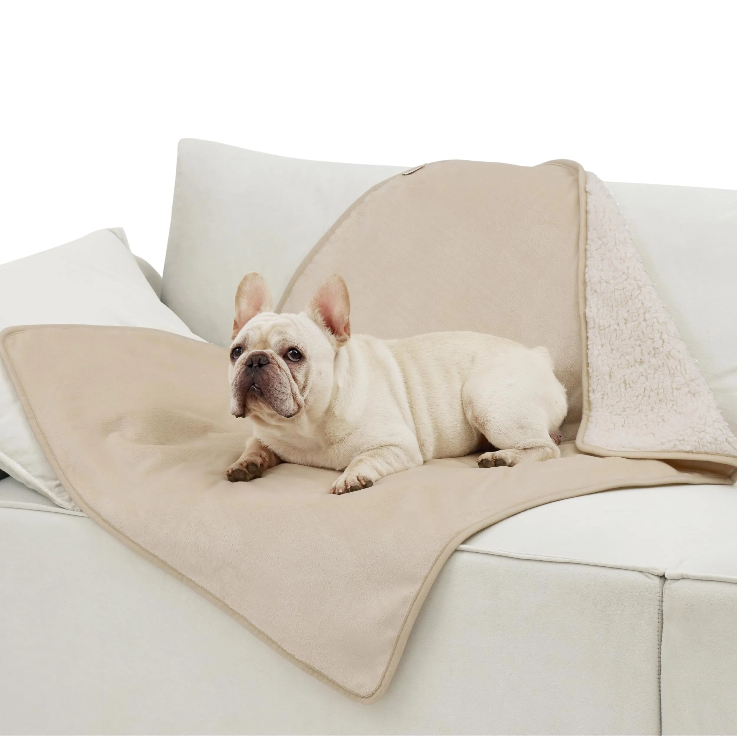 LE SURE Coperta Impermeabile per Cane Lavabile, 100x80 cm Crema - immagine 1
