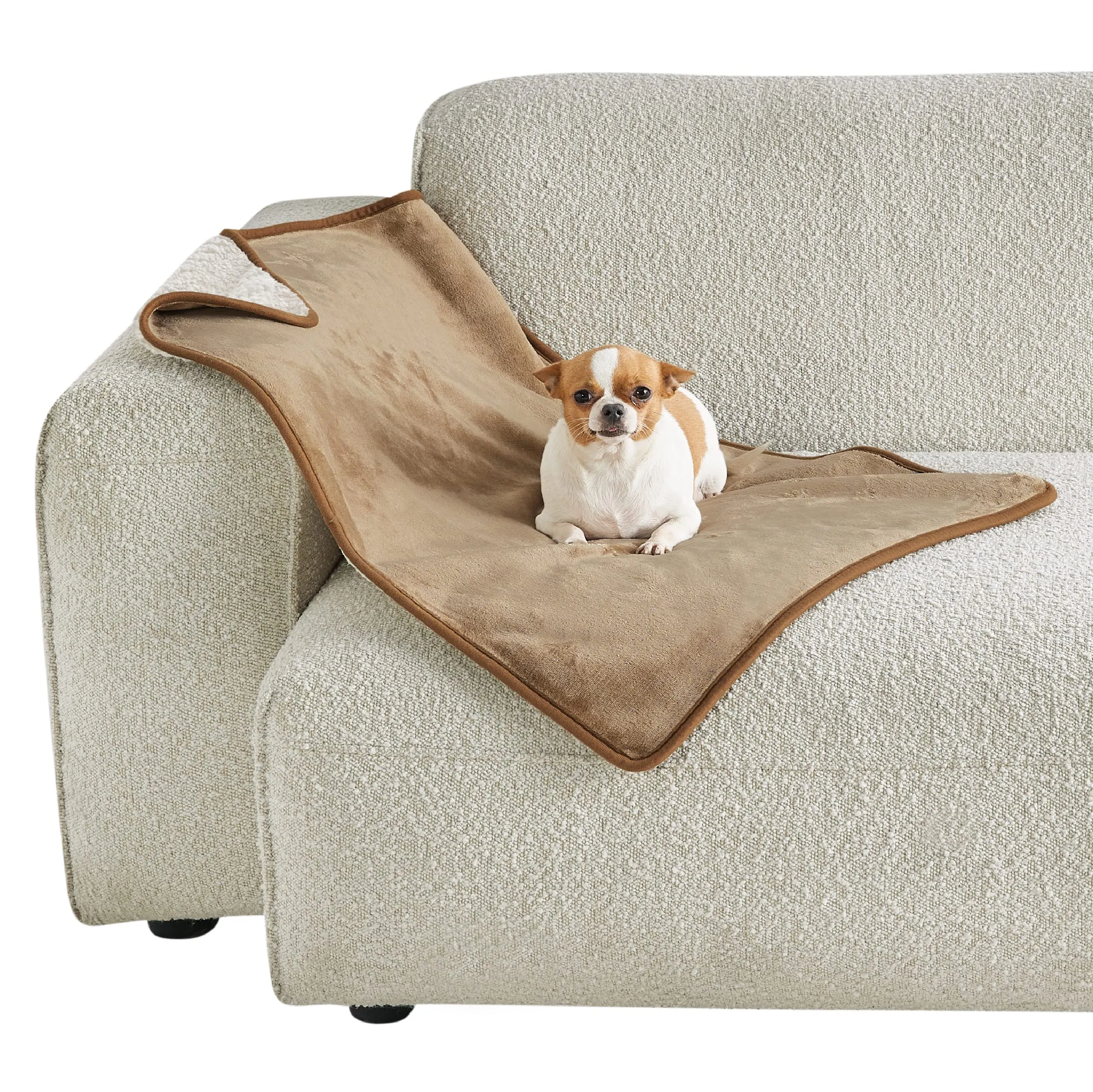 LE SURE Coperta Impermeabile per Cane Lavabile, 80x60 cm Cammello - immagine 1