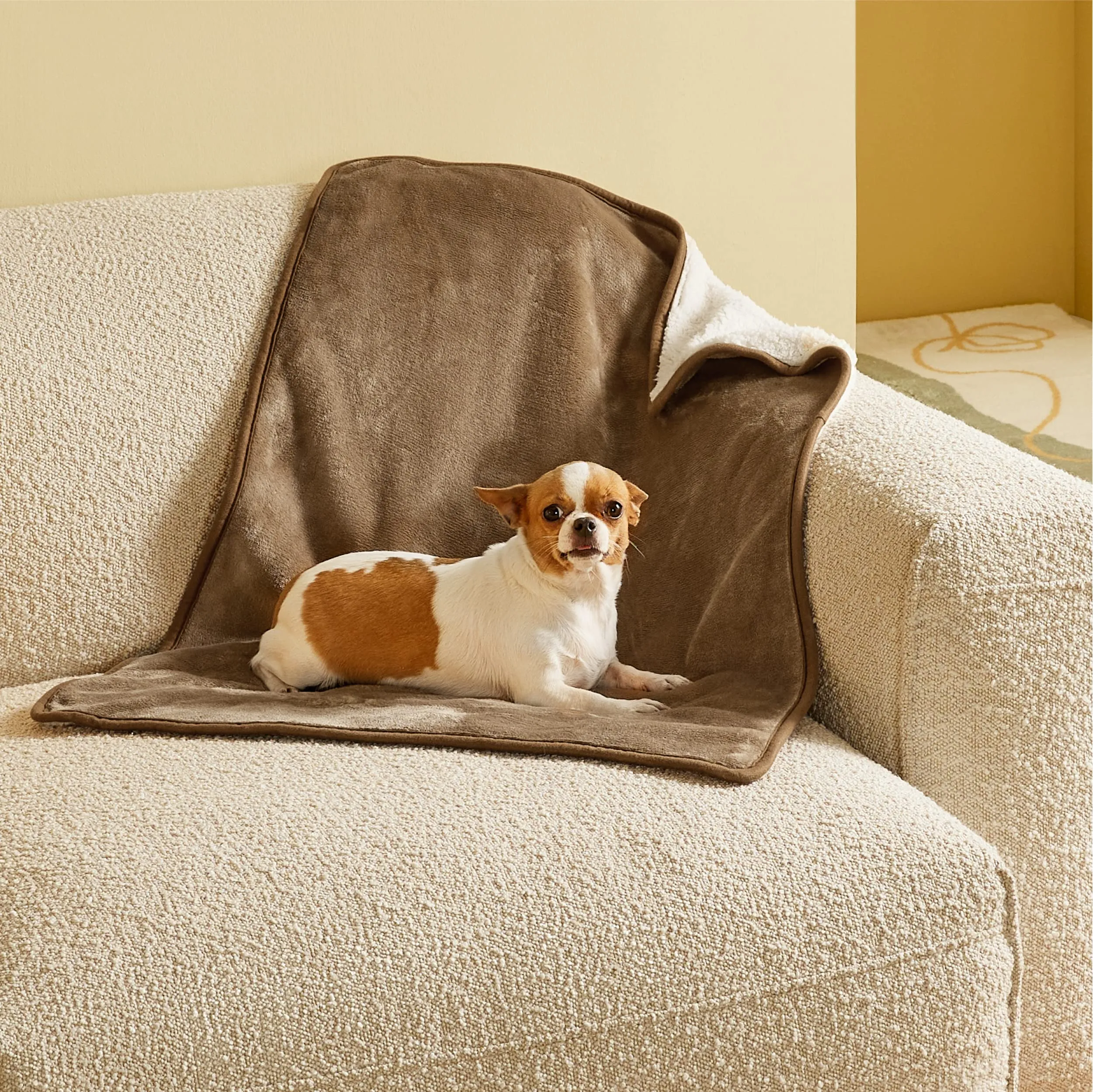 LE SURE Coperta Impermeabile per Cane Lavabile, 80x60 cm Cammello - immagine 6