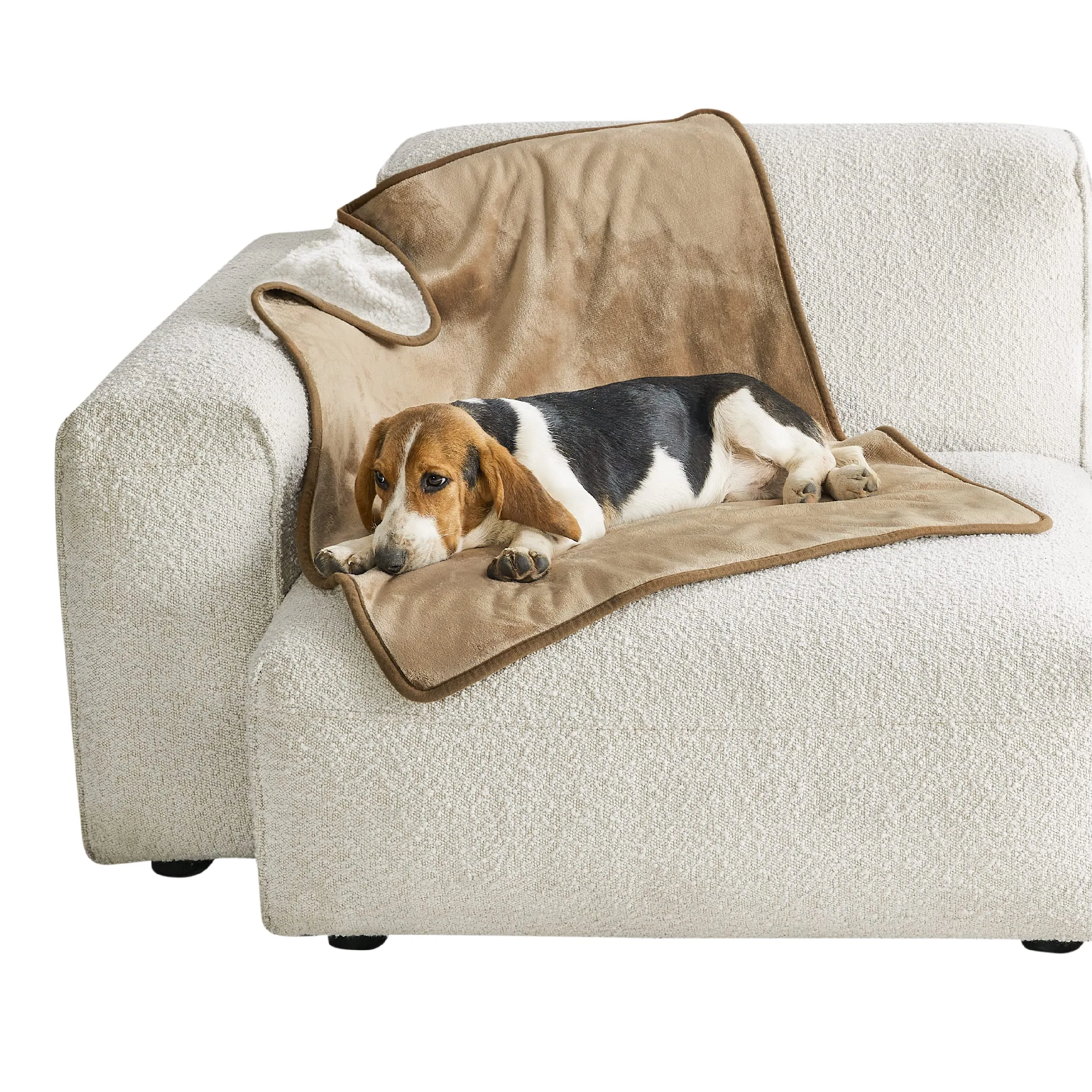 LE SURE Coperta Impermeabile per Cane Lavabile, 100x80 cm Cammello - immagine 1