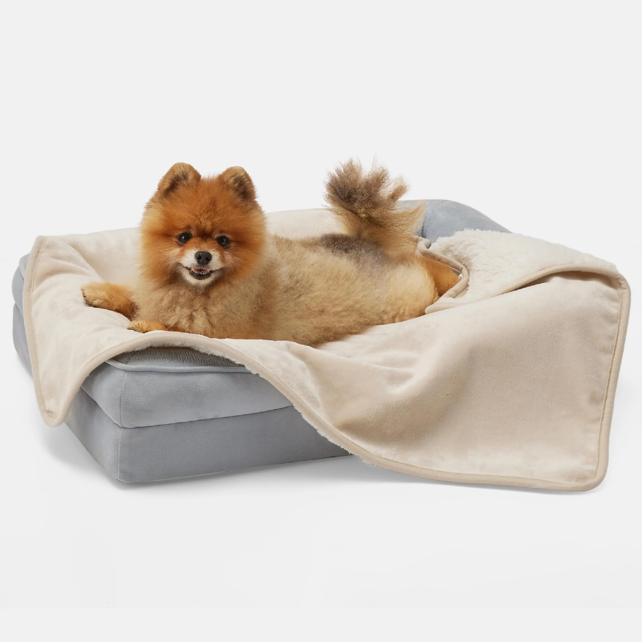 LE SURE Coperta Impermeabile per Cane Lavabile, 80x60 cm Crema - immagine 8