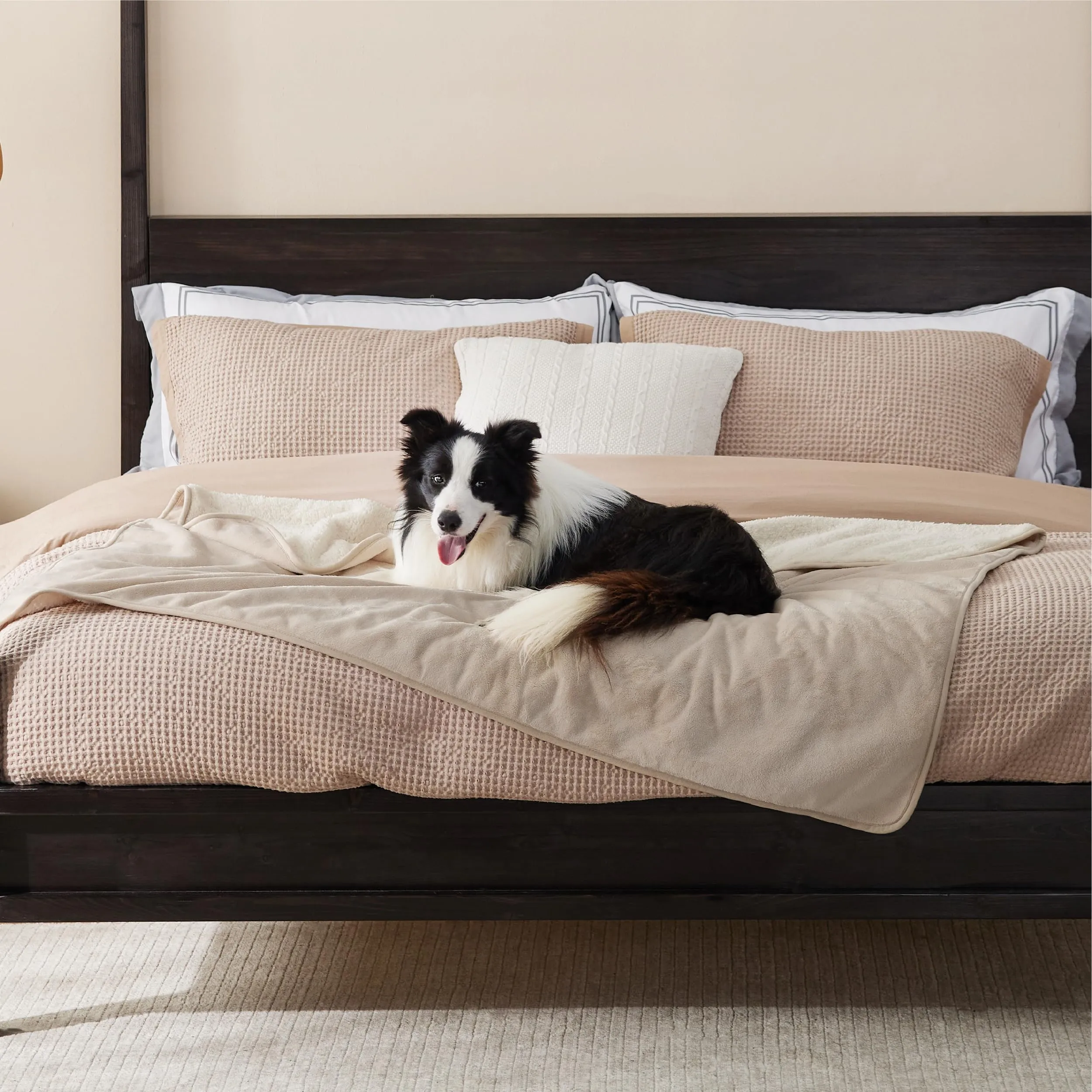 LE SURE Coperta Impermeabile per Cane Lavabile, 152x127 cm Crema - immagine 6