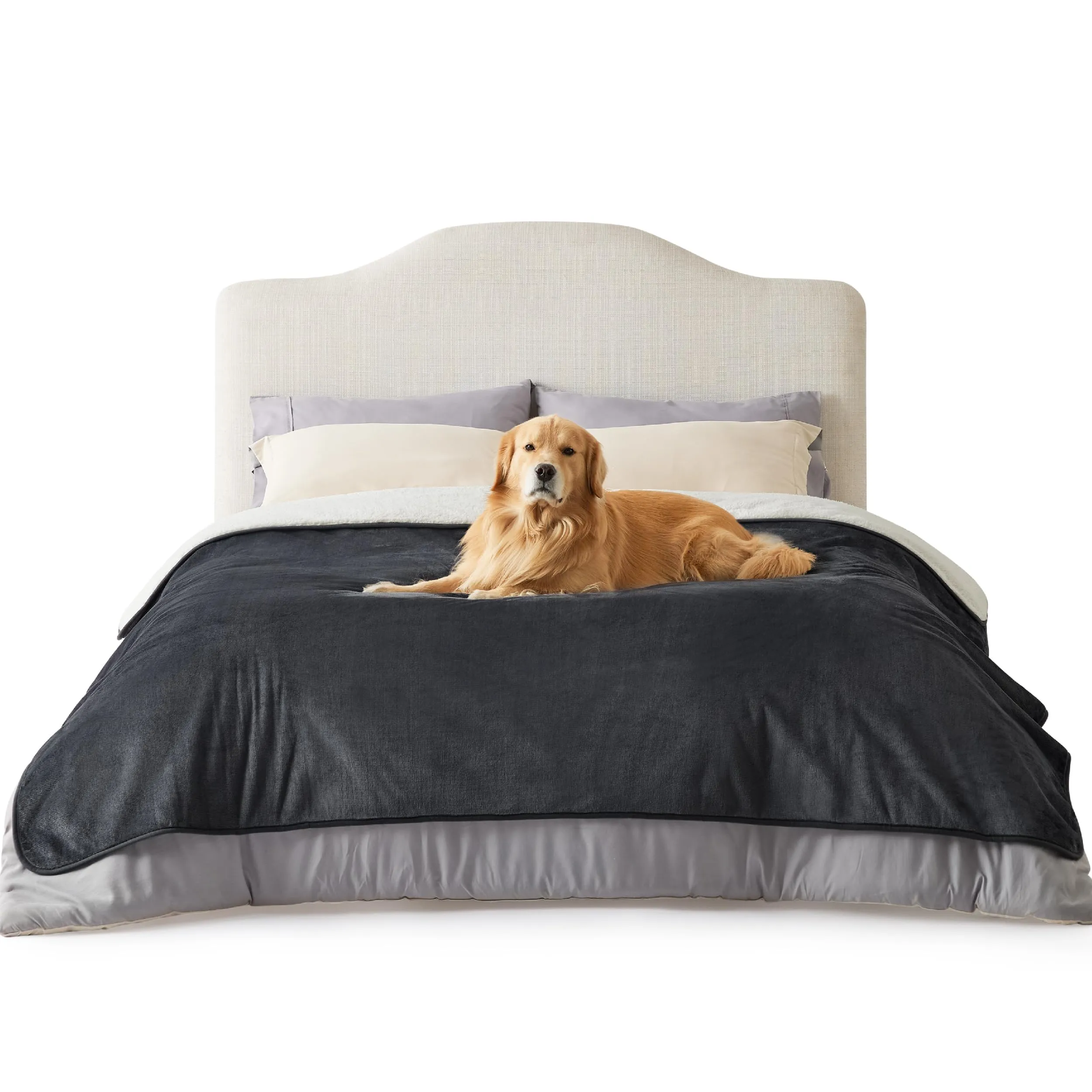 LE SURE Coperta Impermeabile per Cane Lavabile, 229x218 cm Nero - immagine 1