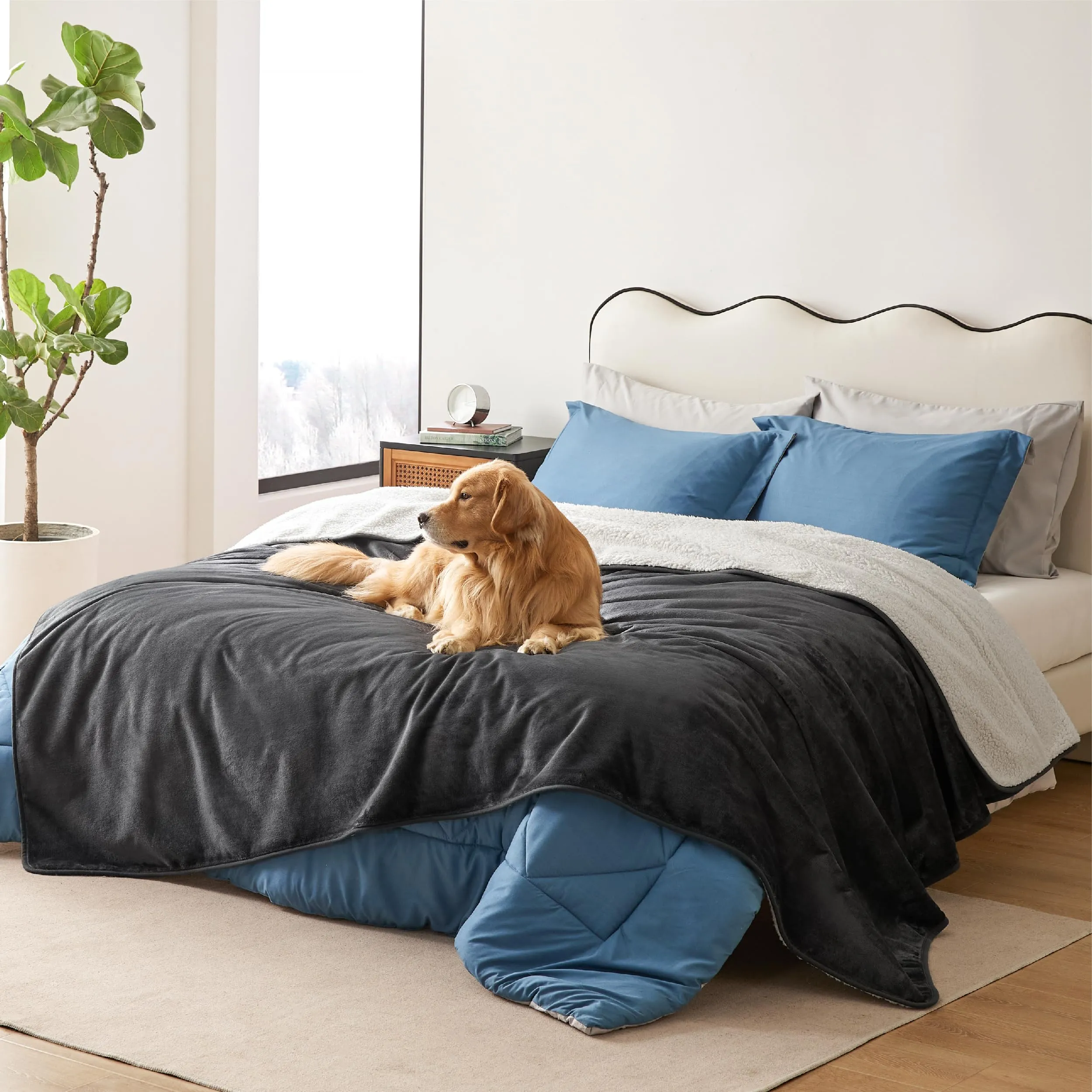 LE SURE Coperta Impermeabile per Cane Lavabile, 229x218 cm Nero - immagine 7