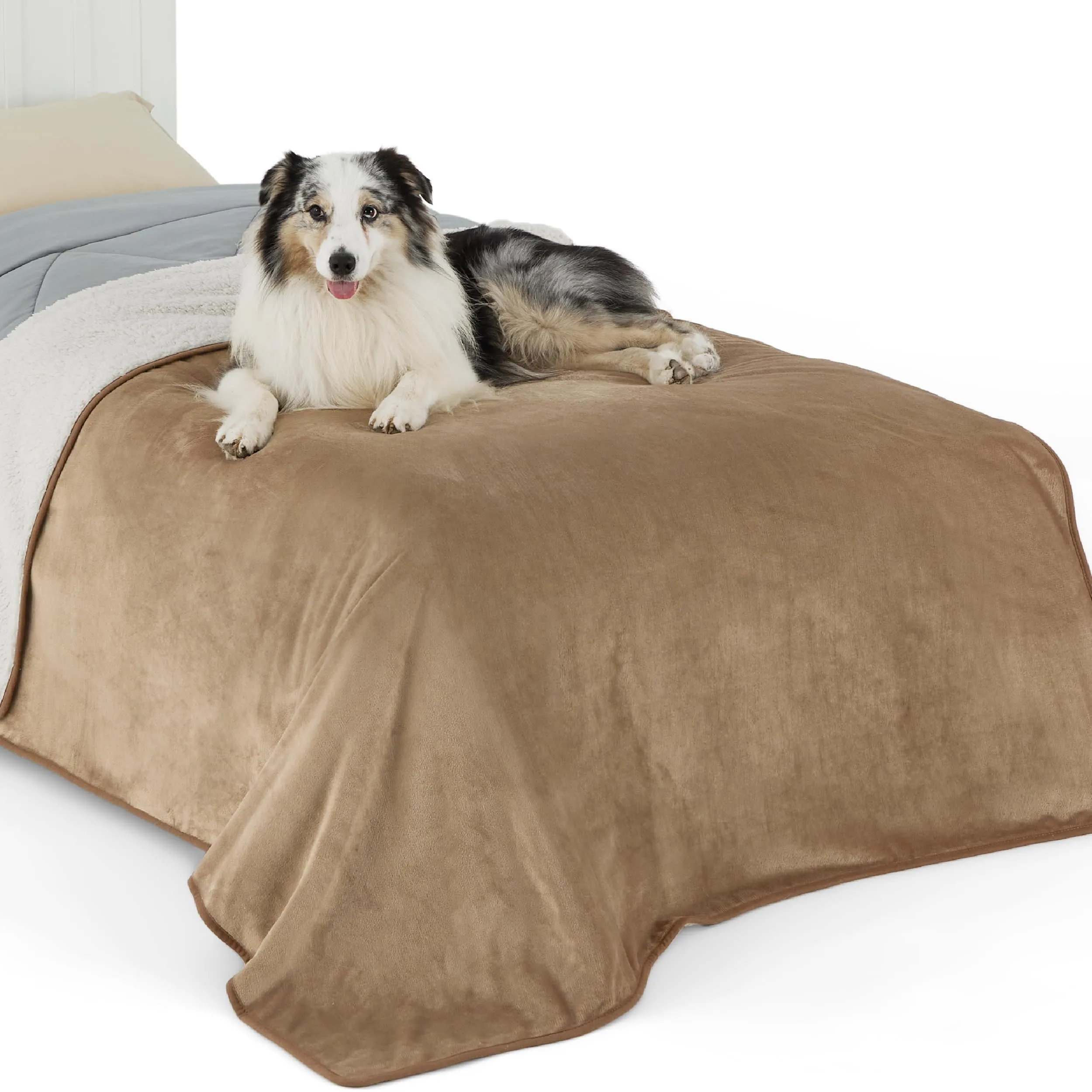 LE SURE Coperta Impermeabile per Cane Lavabile, 203x152 cm Cammello - immagine 1