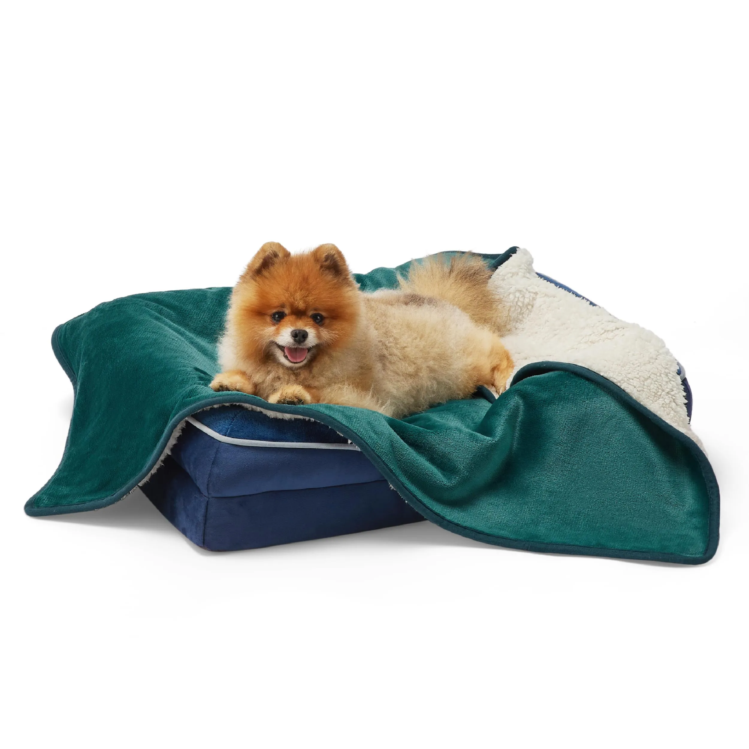 LE SURE Coperta Impermeabile per Cani di Piccola Taglia - Coperta Lavabile per Cani 80x60 cm, Proteggi Divano, Coperta Morbida e Soffice per Gatti, Verde Scuro - immagine 1