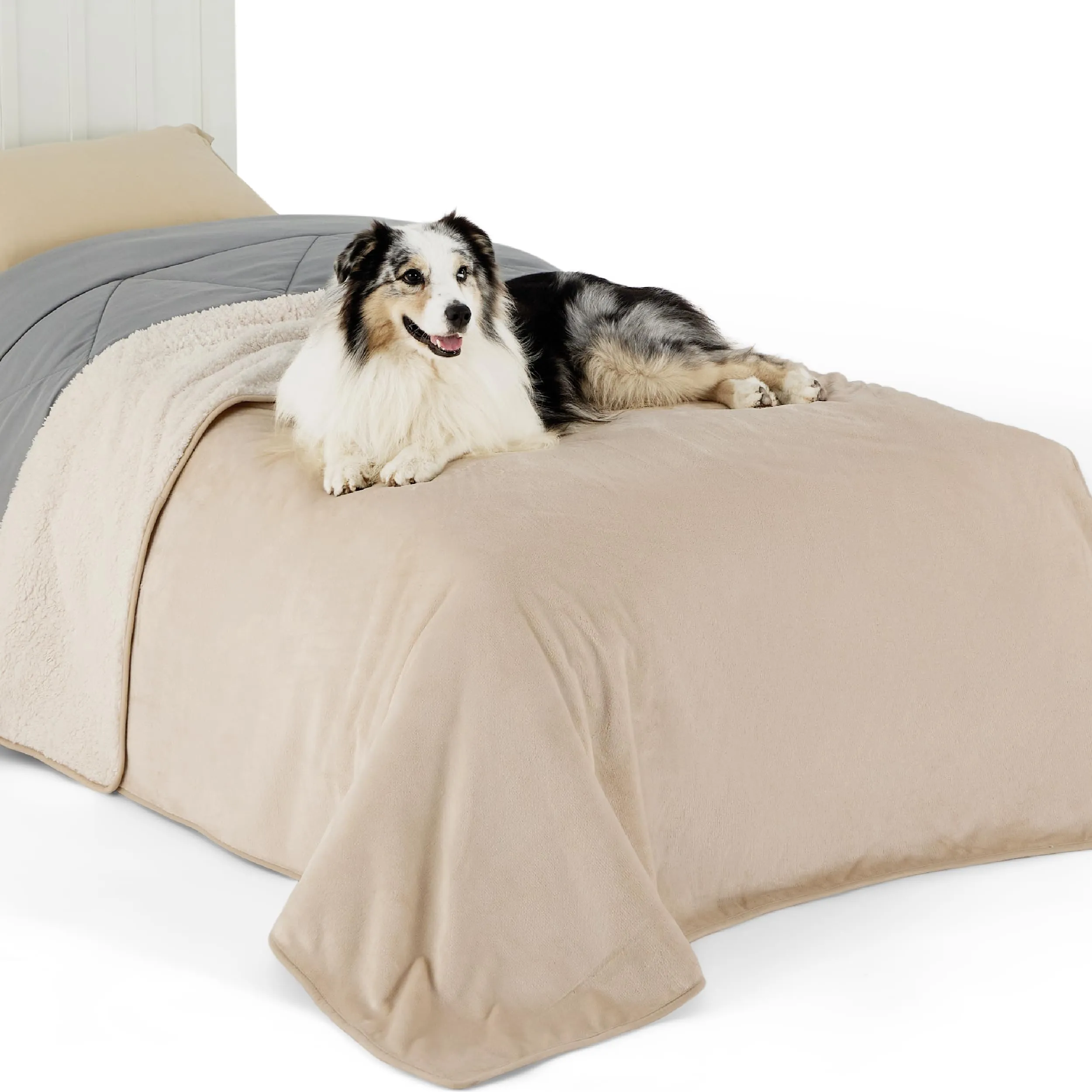 LE SURE Coperta Impermeabile per Cane Lavabile, 203x152 cm Crema - immagine 1