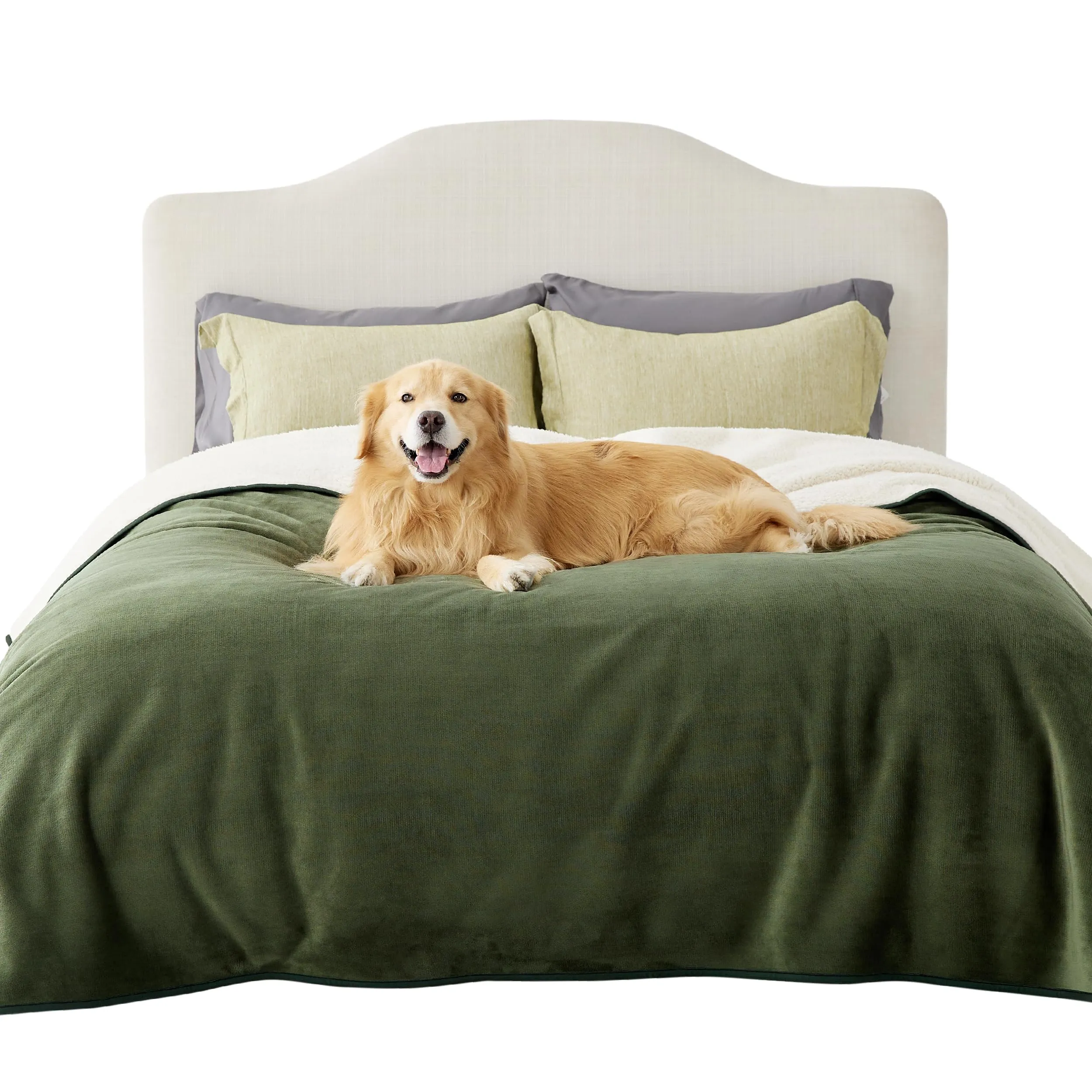 LE SURE Coperta Impermeabile per Cane Lavabile, 229x218 cm Verde Oliva - immagine 1