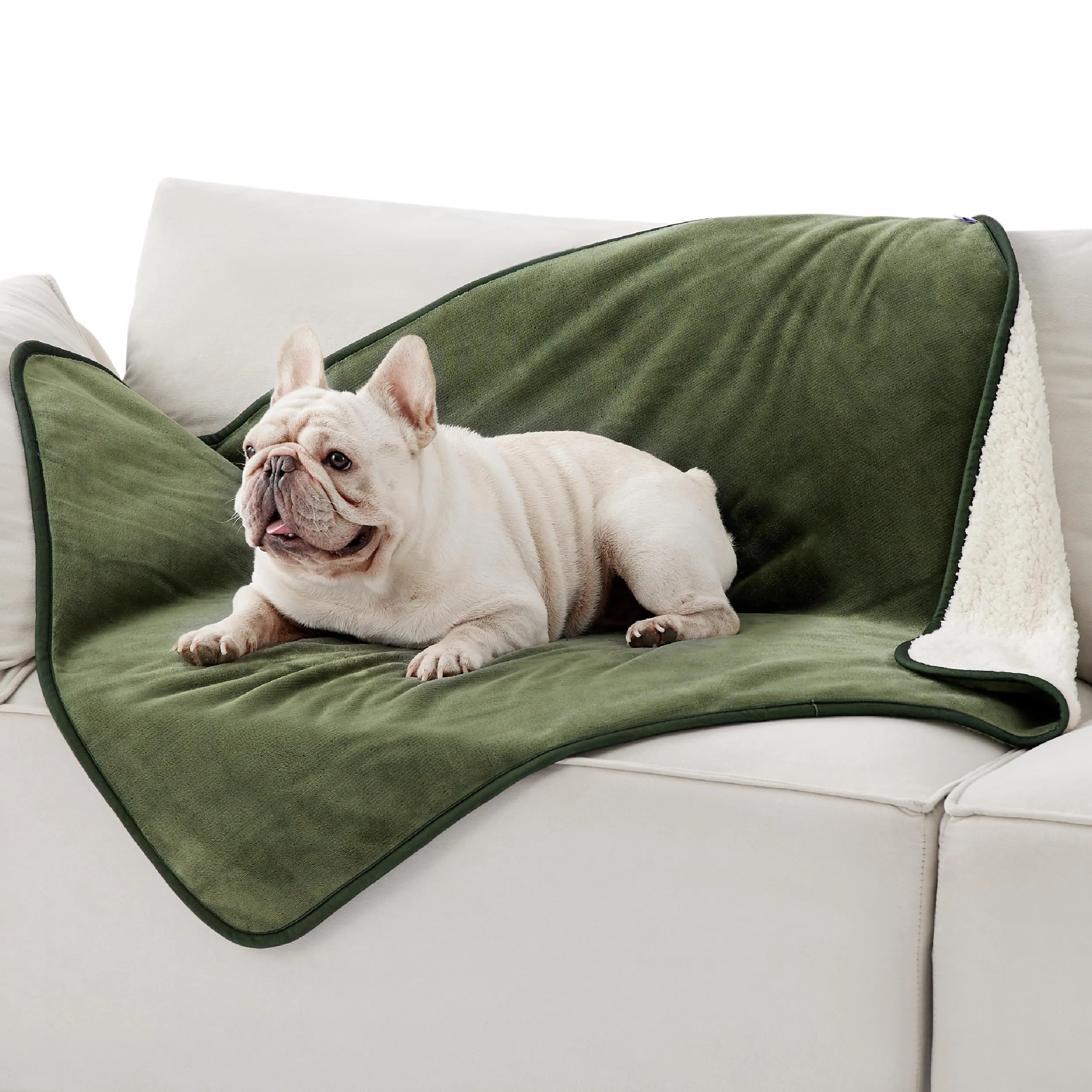 LE SURE Coperta Impermeabile per Cane Lavabile, 100x80 cm Verde Oliva - immagine 1