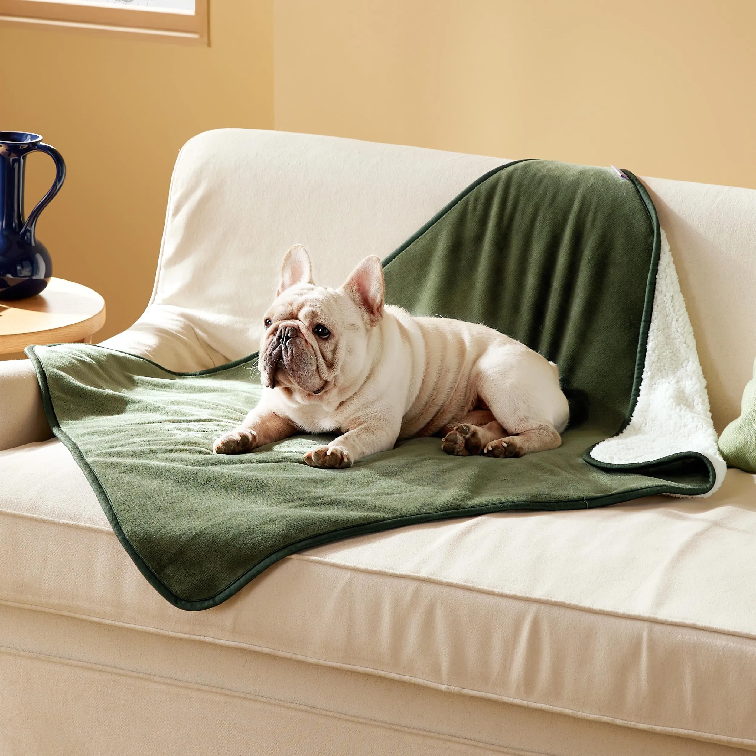 LE SURE Coperta Impermeabile per Cane Lavabile, 100x80 cm Verde Oliva - immagine 5