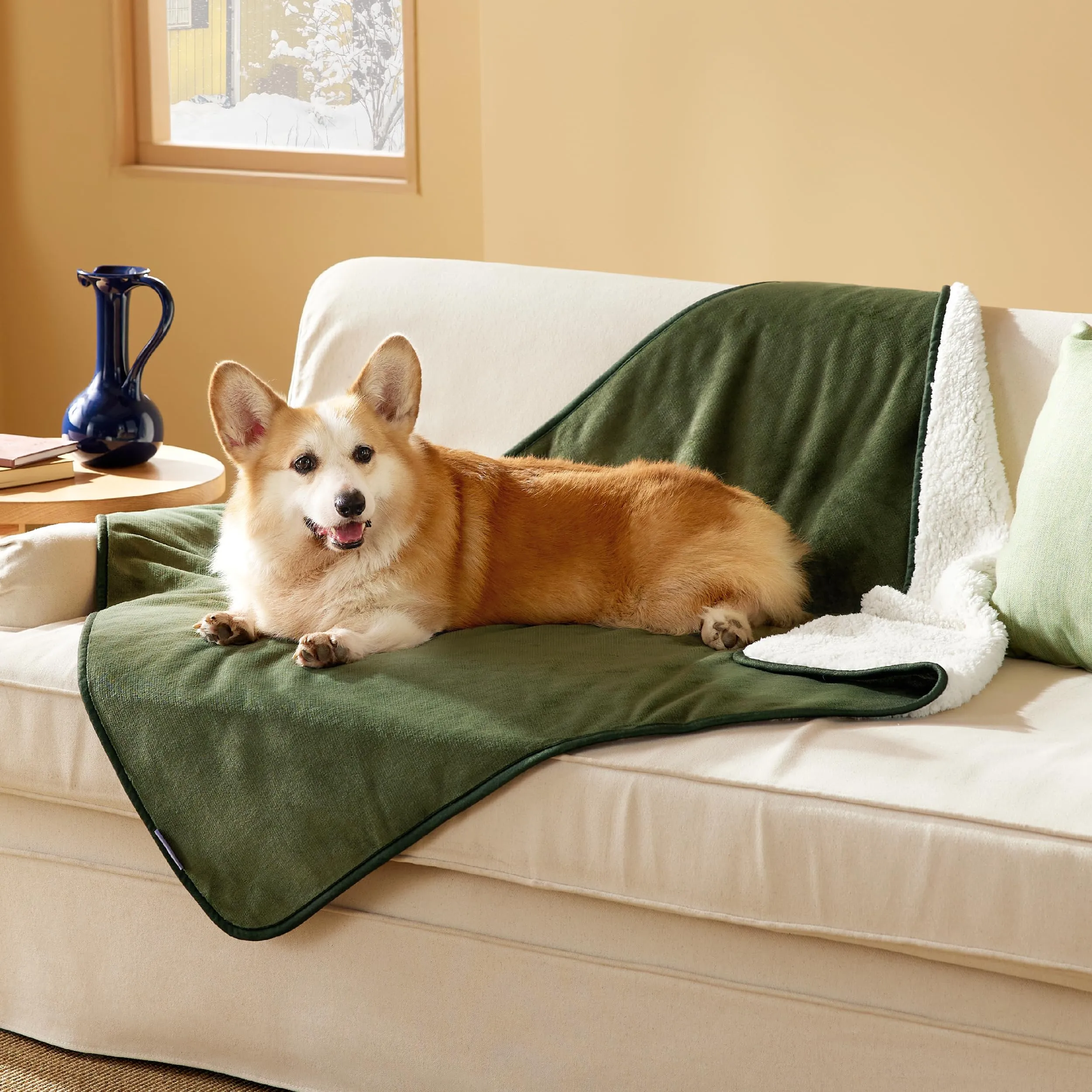 LE SURE Coperta Impermeabile per Cane Lavabile, 120x100 cm Verde Oliva - immagine 6