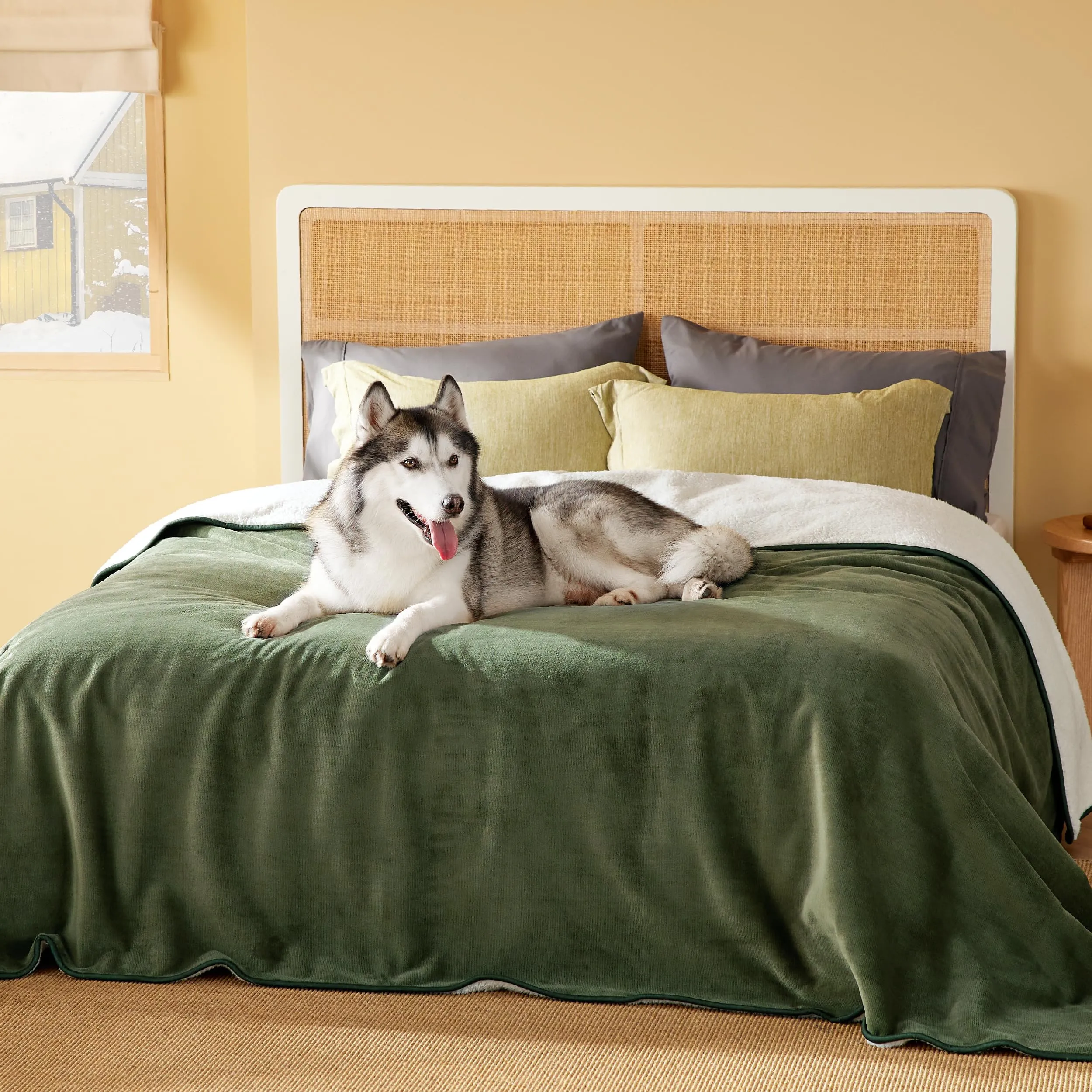 LE SURE Coperta Impermeabile per Cane Lavabile, 274x218 cm Verde Oliva - immagine 6
