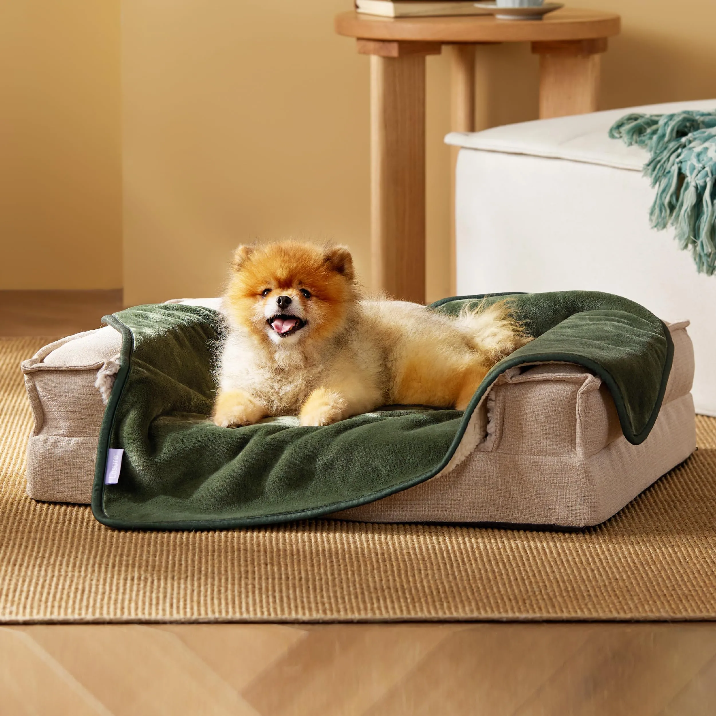 LE SURE Coperta Impermeabile per Cane Lavabile, 80x60 cm Verde Oliva - immagine 6