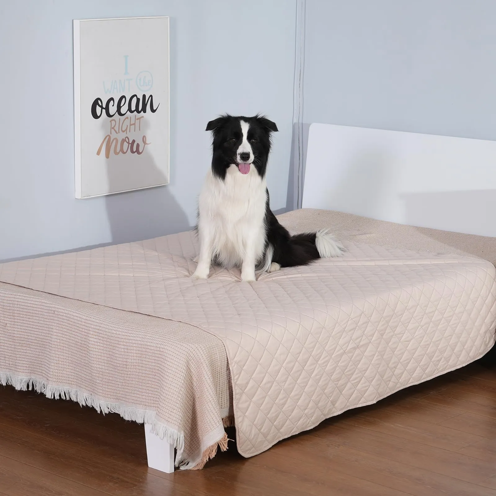 Copridivano e Copriletto Impermeabili per Cani 157 x 127 cm - immagine 3