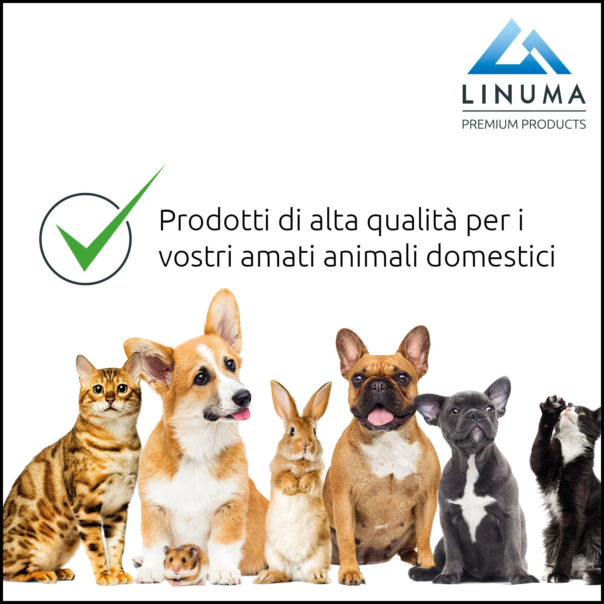 LINUMA® Lettiera per gatti con coperchio rimovibile - Paletta e filtro ai carboni attivi - Lettiera chiusa con bordo alto (verde) - immagine 9