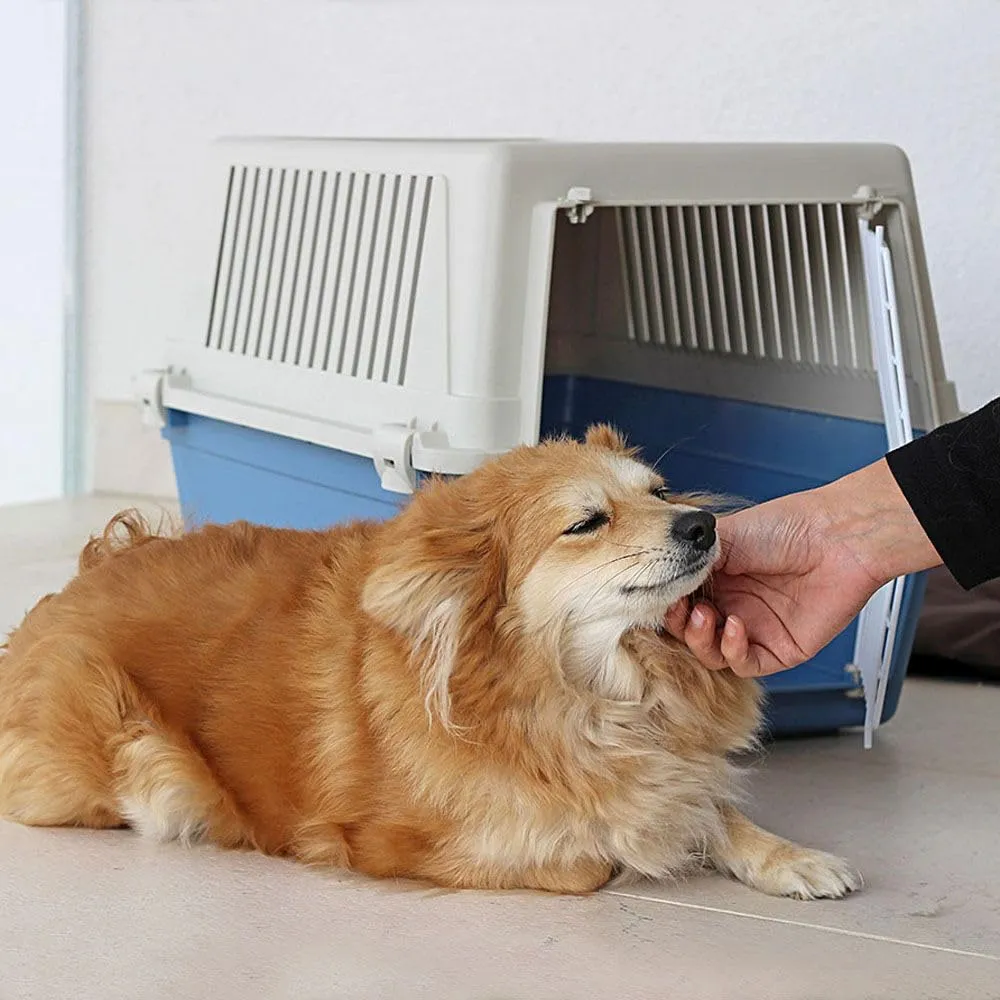 Ferplast Trasportino per Cani e Gatti fino a 15 Kg, Taglia Media, Porta in Ferro Plastificato, Fessure di Aerazione, 40x60x38 cm, Atlas 30 EL Rigido, Nero - immagine 2