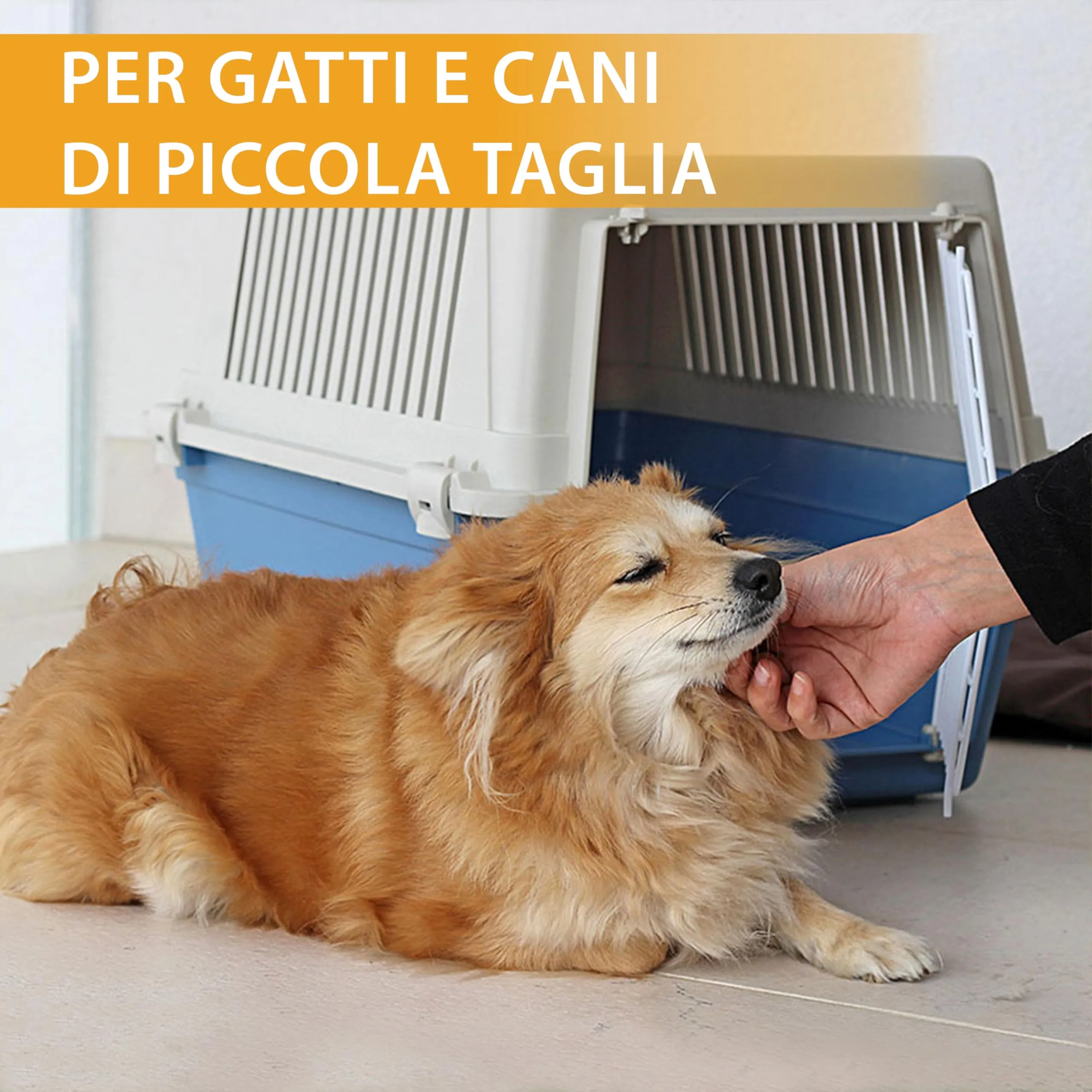 Ferplast Trasportino per Cani e Gatti fino a 15 Kg, Taglia Media, Porta in Ferro Plastificato, Fessure di Aerazione, 40x60x38 cm, Atlas 30 EL Rigido, Nero - immagine 4