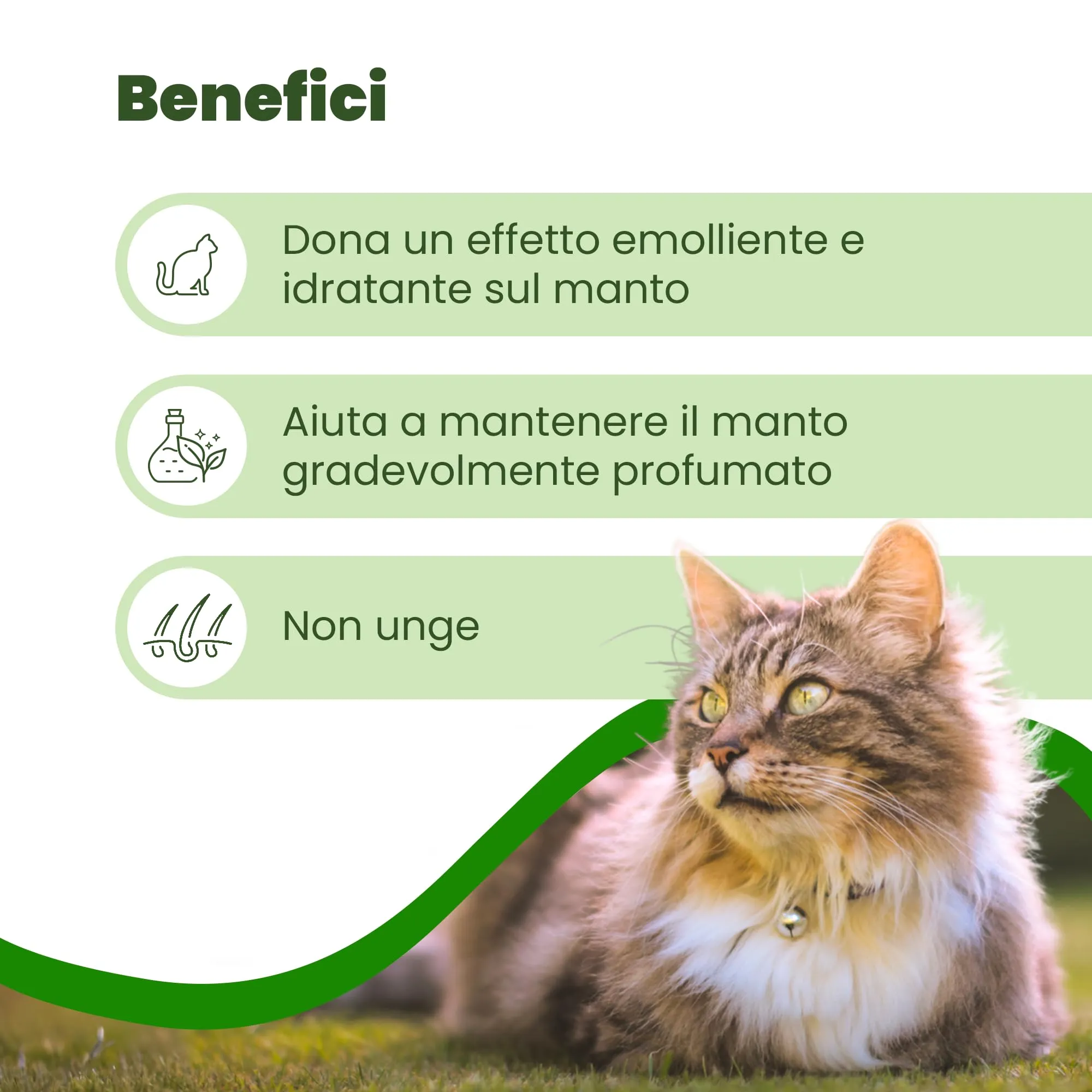 CAMON - Spot-On Protection Gatto, 5 Fiale da 2ml - immagine 3