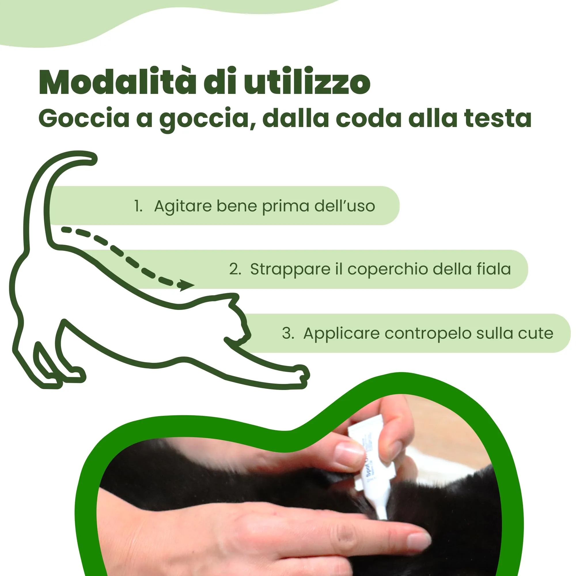 CAMON - Spot-On Protection Gatto, 5 Fiale da 2ml - immagine 4
