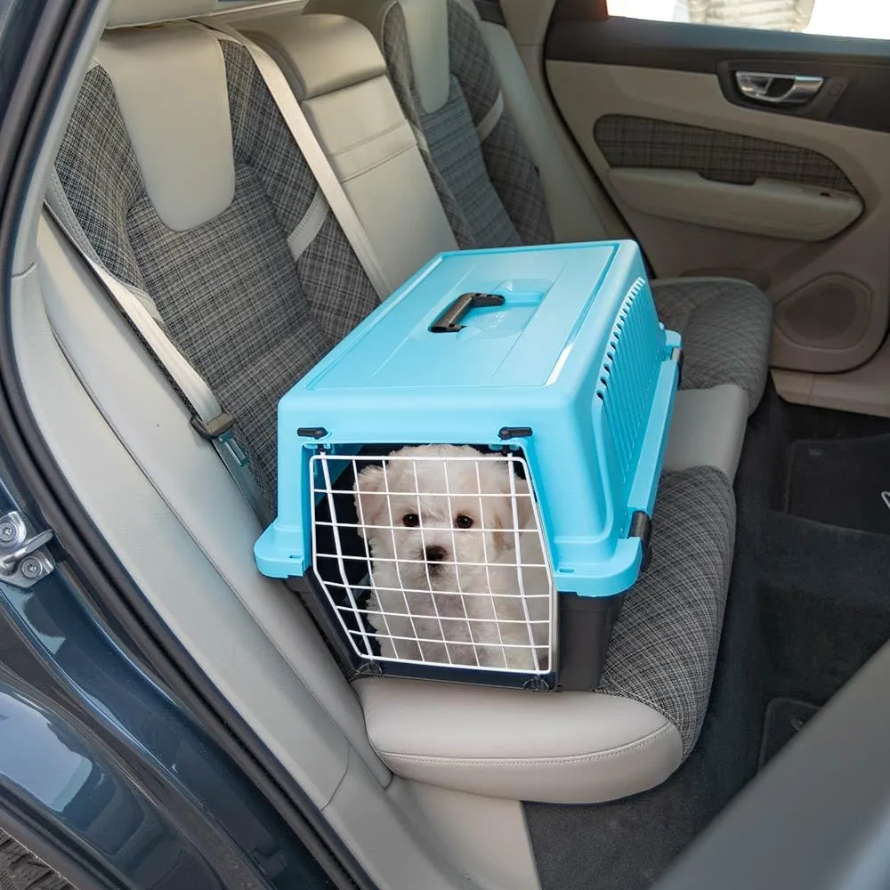 Ferplast Trasportino Rigido per Cani Piccola Taglia e Gatti Atlas 20 El, Box per Trasporto di Animali, Plastica Robusta, Porta in Acciaio Plasticato, Griglie per L'Aerazione, 37 X 58 X 32 cm Azzurro - immagine 3