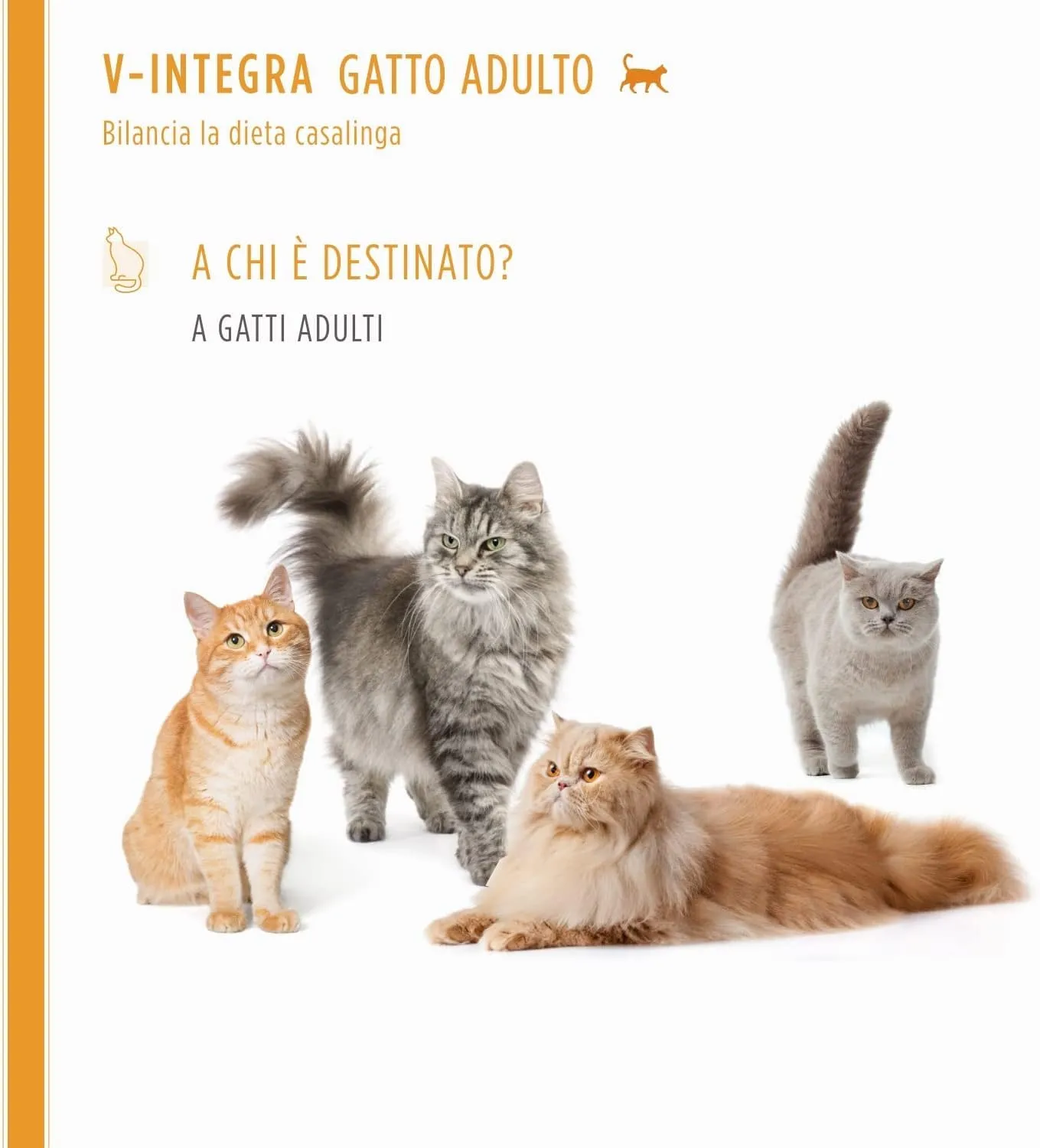 V-INTEGRA Gatto Adulto - Integratore Completo Ricco di Vitamine e Minerali, per la Dieta Casalinga di gatti adulti di tutte le età - 200g - Made in Italy - immagine 3