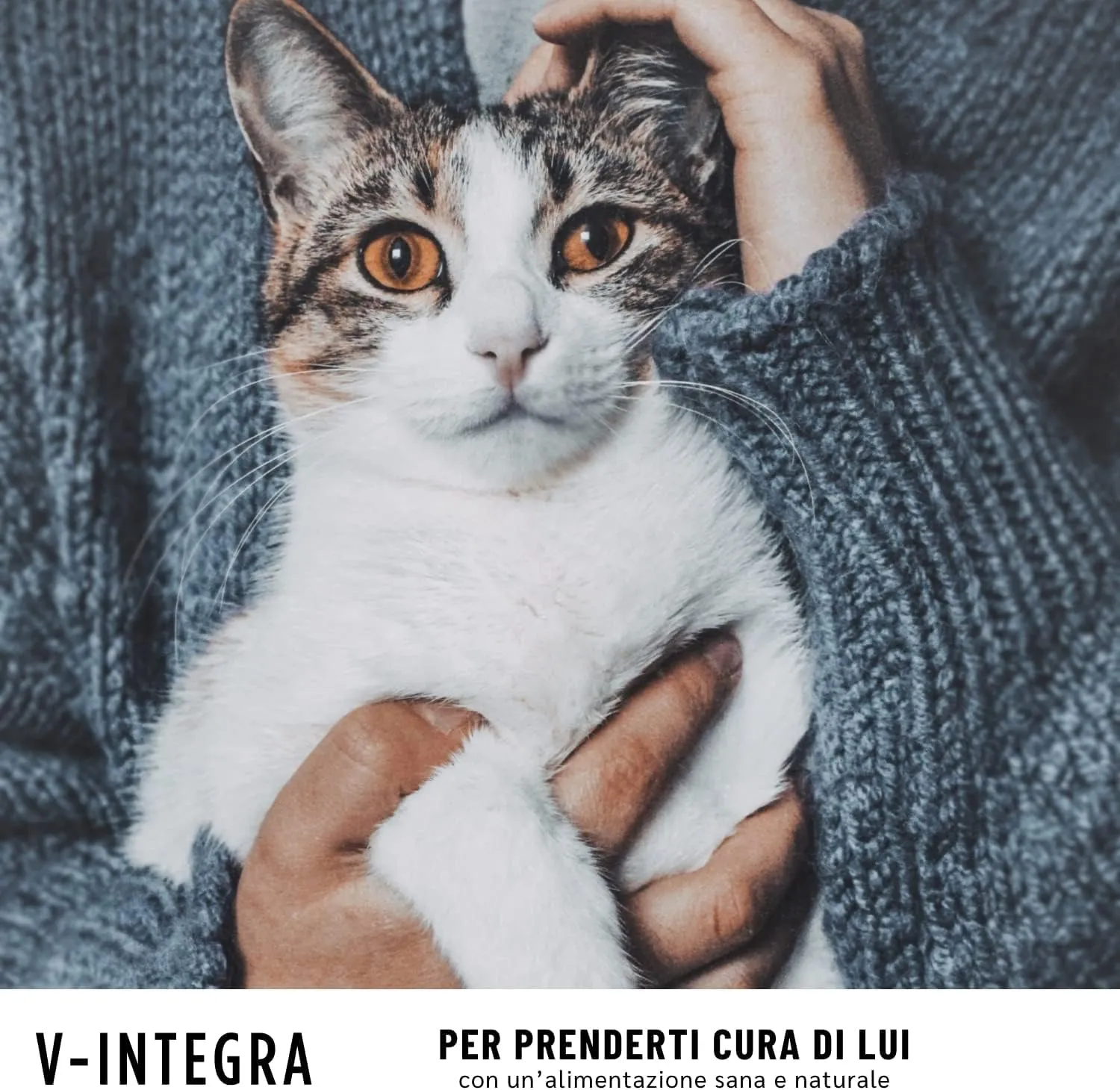 V-INTEGRA Gatto Adulto - Integratore Completo Ricco di Vitamine e Minerali, per la Dieta Casalinga di gatti adulti di tutte le età - 200g - Made in Italy - immagine 9