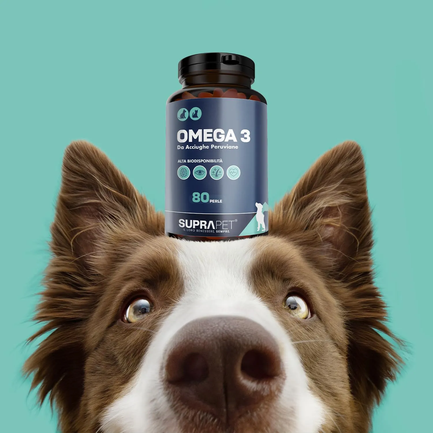Suprapet Omega 3 per Cani e Gatti Olio di Pesce, EPA, DHA e Vitamina E 80 Perle. Mangime Complementare Naturale per Pelo e Articolazioni (80 unità (Confezione da 1)) - immagine 5