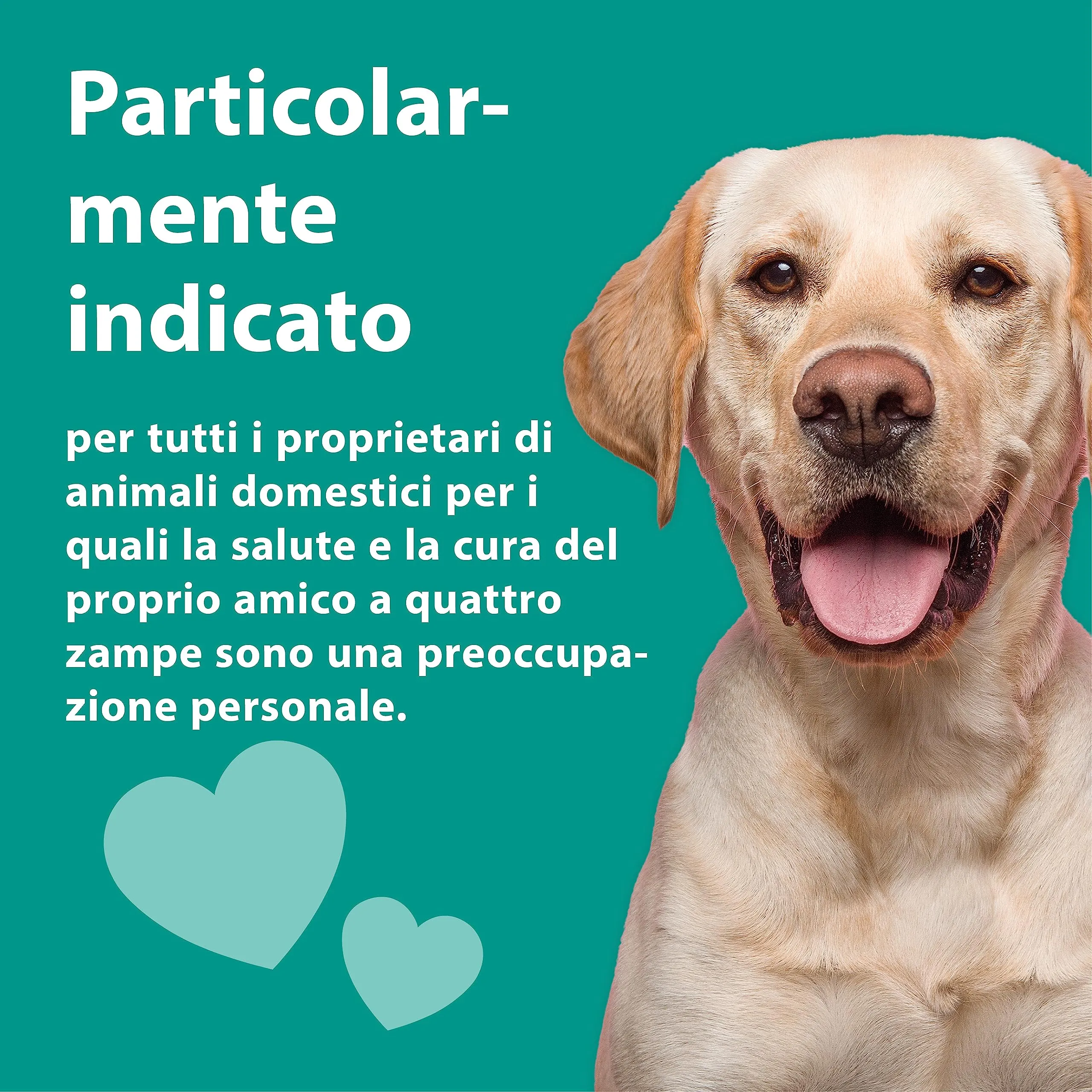 emmi-pet 1x Orozyme gel dentale per cani e gatti con funzione autopulente I Dentifricio per cani - immagine 4