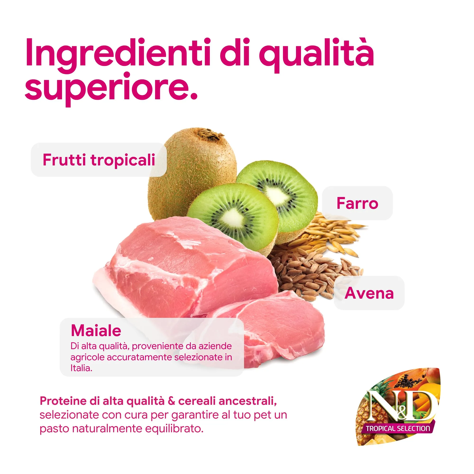 Farmina, N&D Tropical Selection, Maiale & frutti tropicali, Cane Adult Medium/Maxi, 10kg - immagine 4
