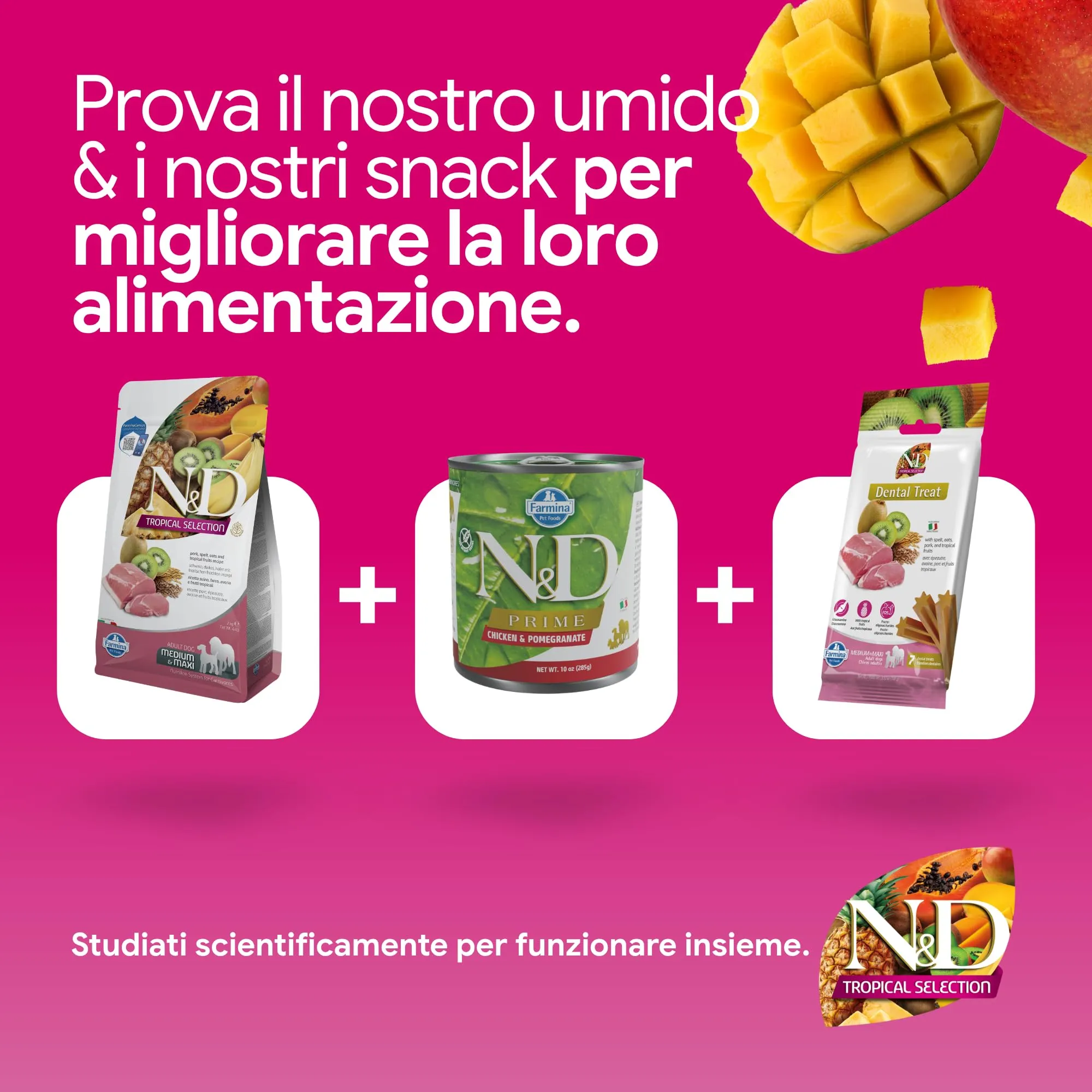 Farmina, N&D Tropical Selection, Maiale & frutti tropicali, Cane Adult Medium/Maxi, 10kg - immagine 8