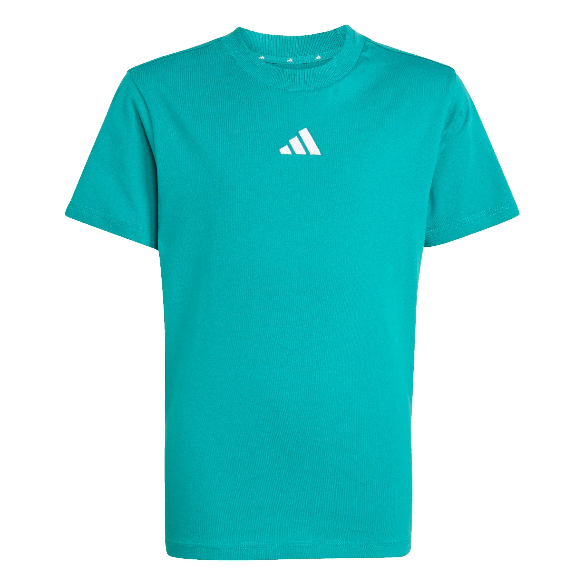 Adidas Unisex - Bambini Essentials T-Shirt, Pure Teal/White, 15-16 Years - immagine 1