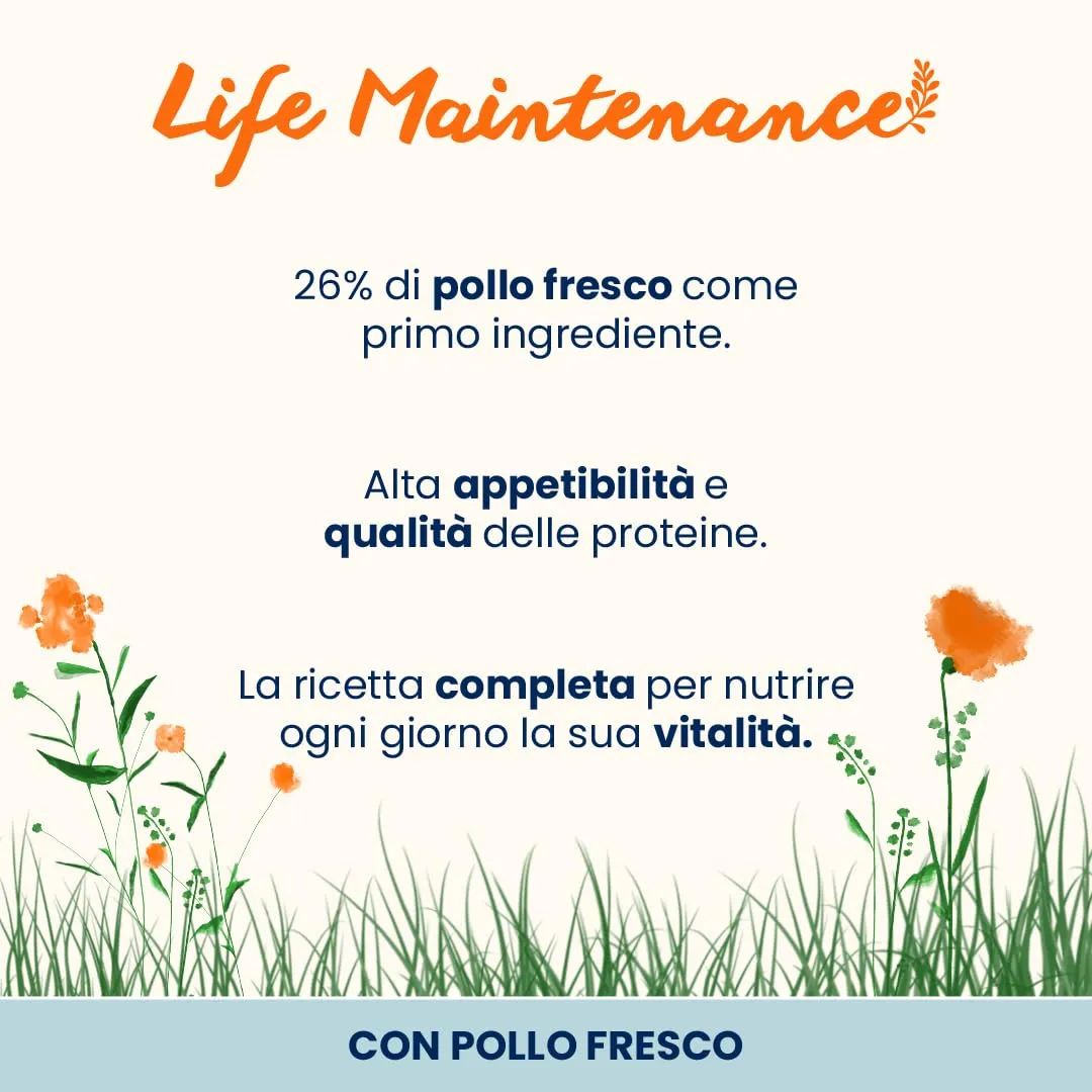 Almo Nature Life Maintenance - Crocchette per Gatti Adulti con Pollo Fresco come 1° Ingrediente - Sacco da 400g - immagine 2