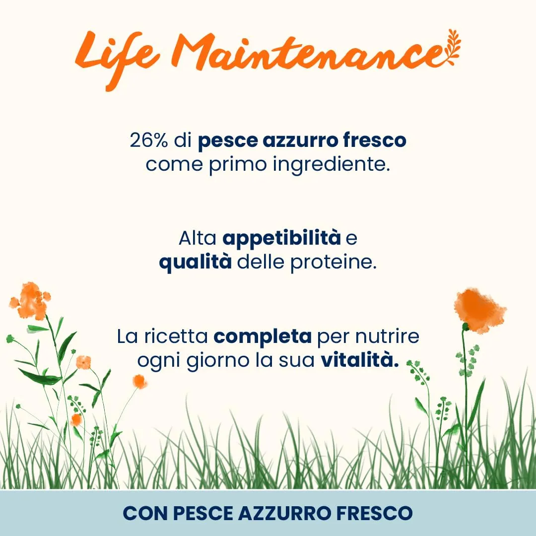 almo nature Life Maintenance - Crocchette per Gatti di Tutte Le età con Pesce Azzurro Fresco Come 1° Ingrediente - Sacco da 400g - immagine 2