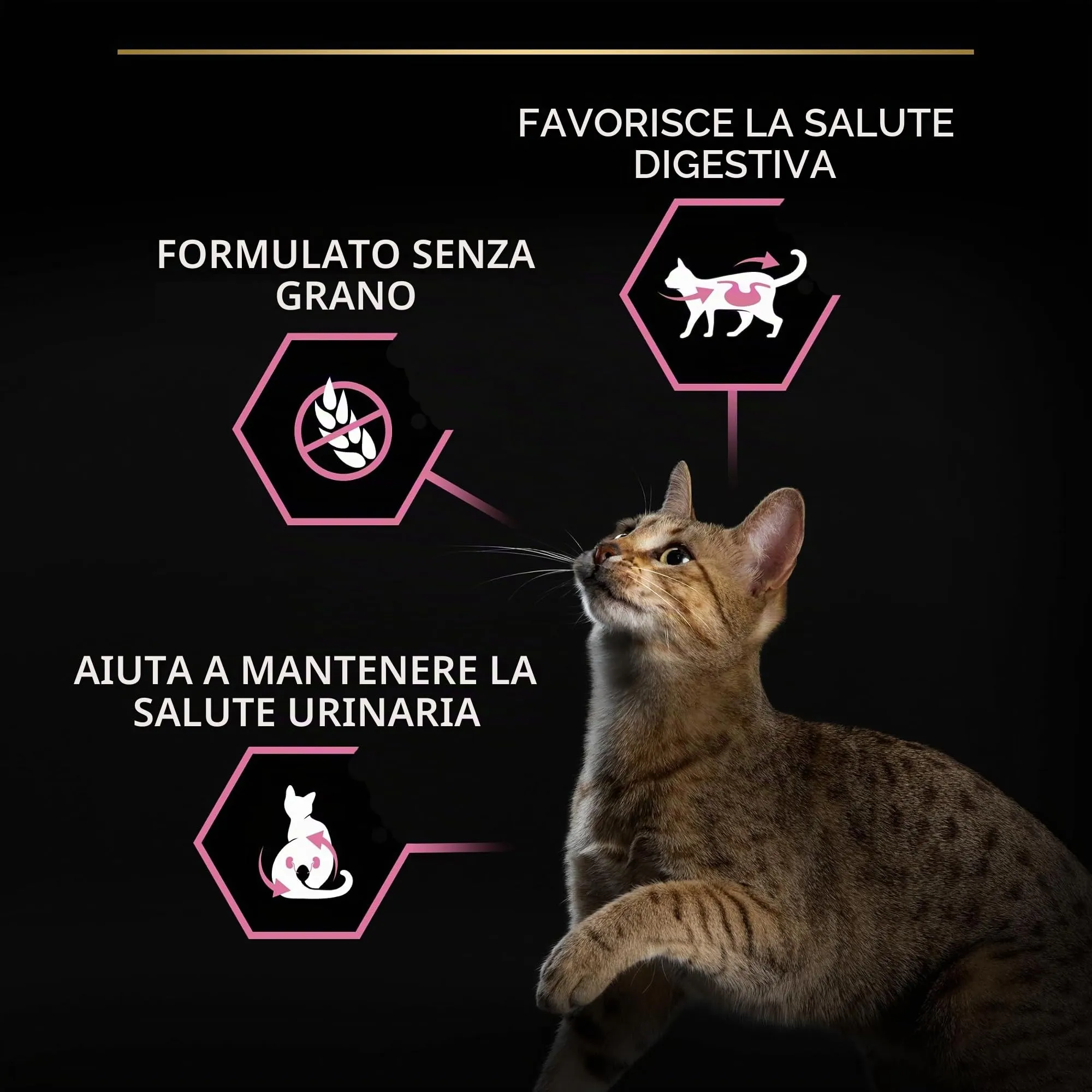 Purina Pro Plan Sterilised Delicate Digestion Crocchette Gatti Adulti Ricco in Pollo 3kg - immagine 3