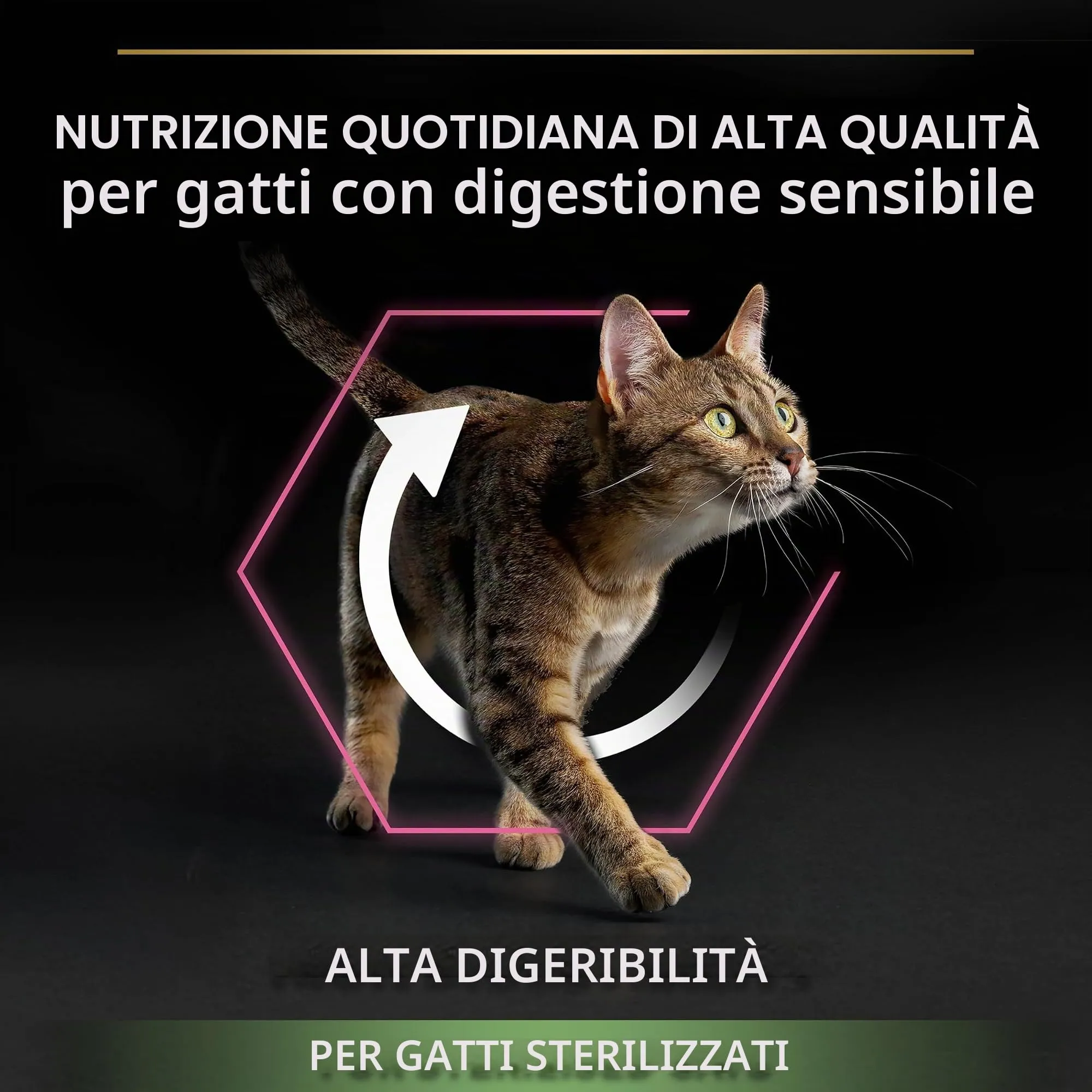 Purina Pro Plan Sterilised Delicate Digestion Crocchette Gatti Adulti Ricco in Pollo 3kg - immagine 4